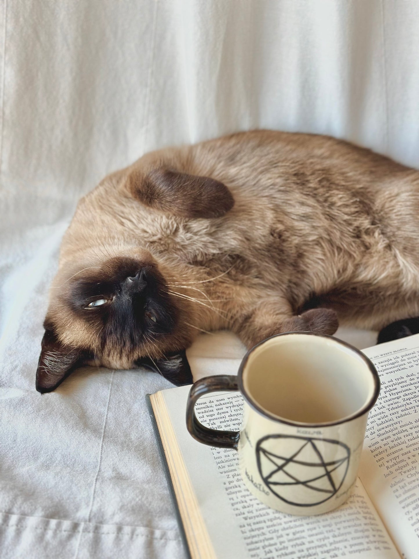 Kubek wiedźmy dzisiejszych czasów