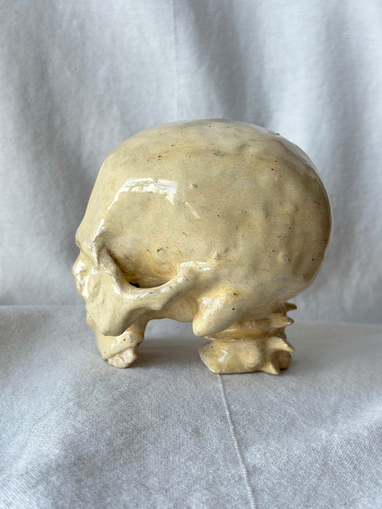 Czaszka ceramiczna beżowa z kręgami szyjnymi