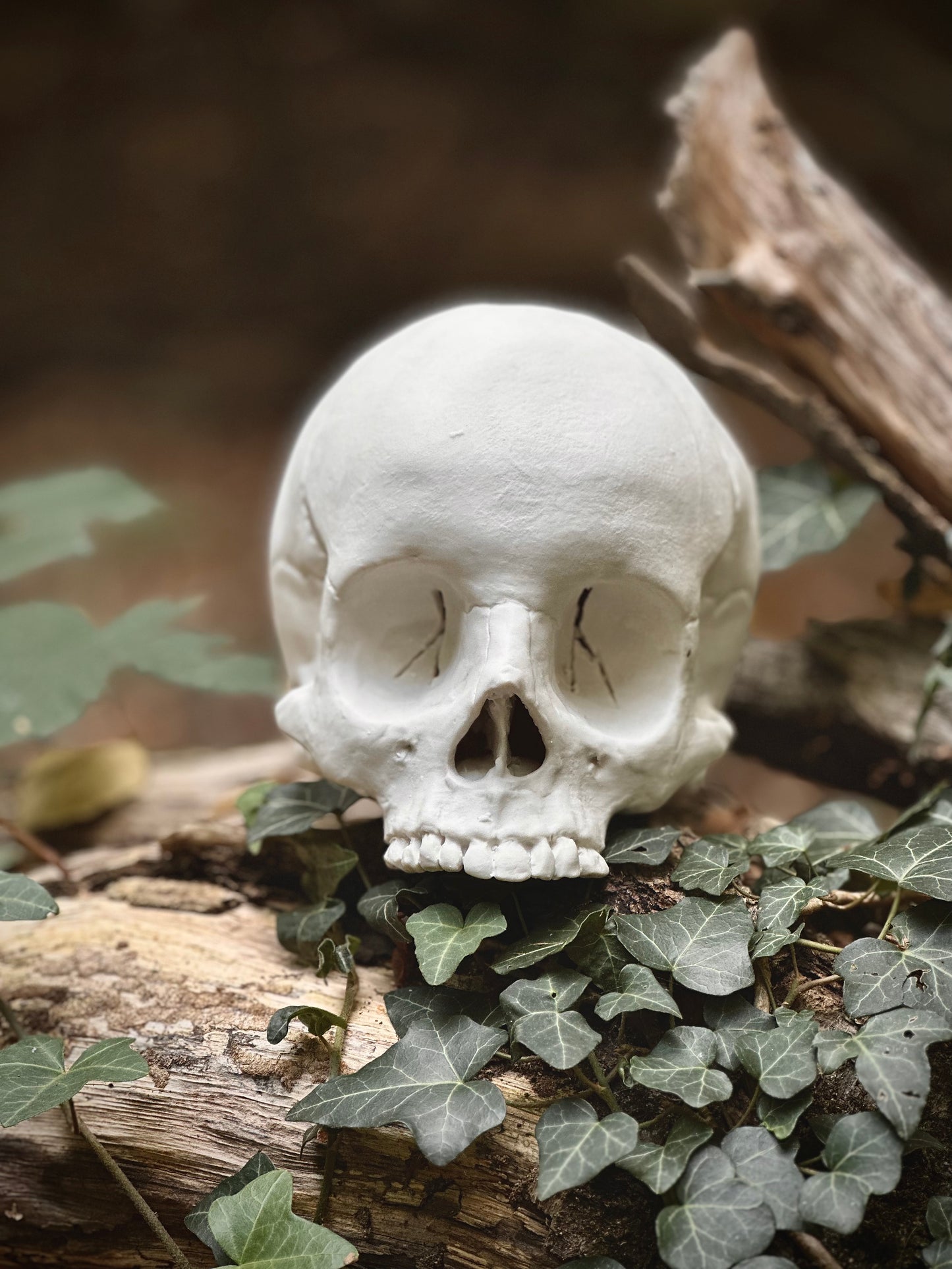 Czaszka porcelanowa duża