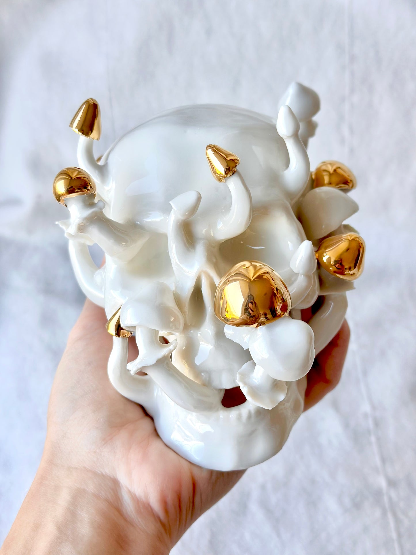 Czaszka porcelanowa z grzybami