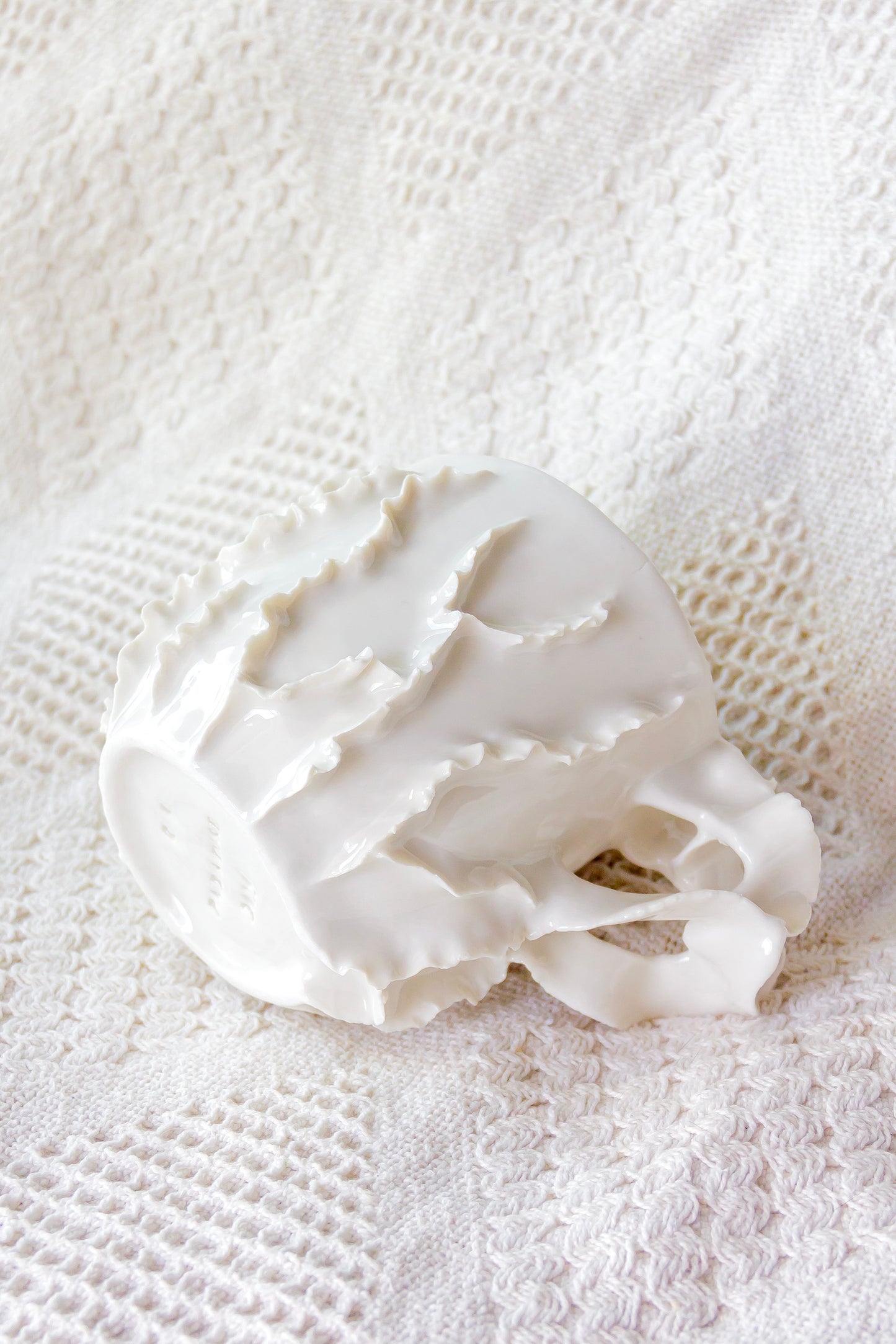 Kubek porcelanowy „Laminari” biały