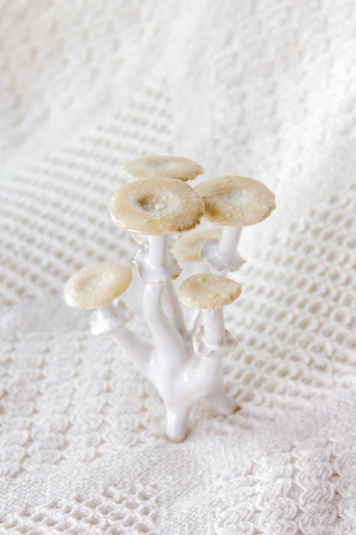 Champignon en céramique noir et rouge