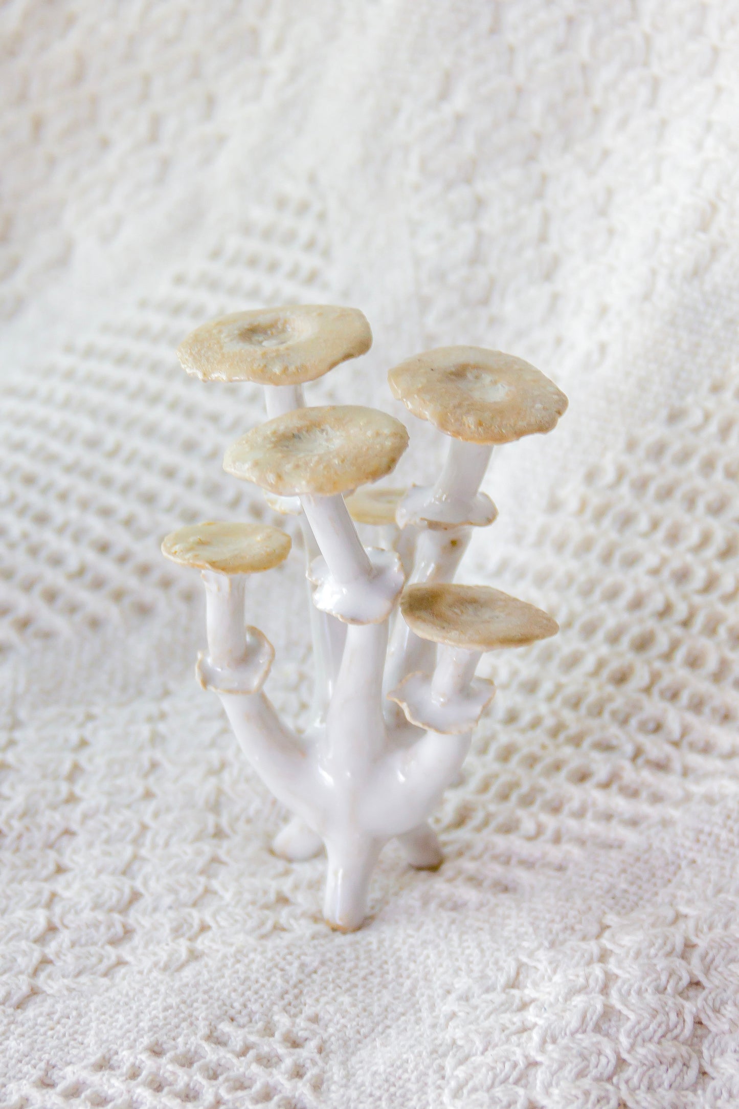Champignon en céramique noir et rouge