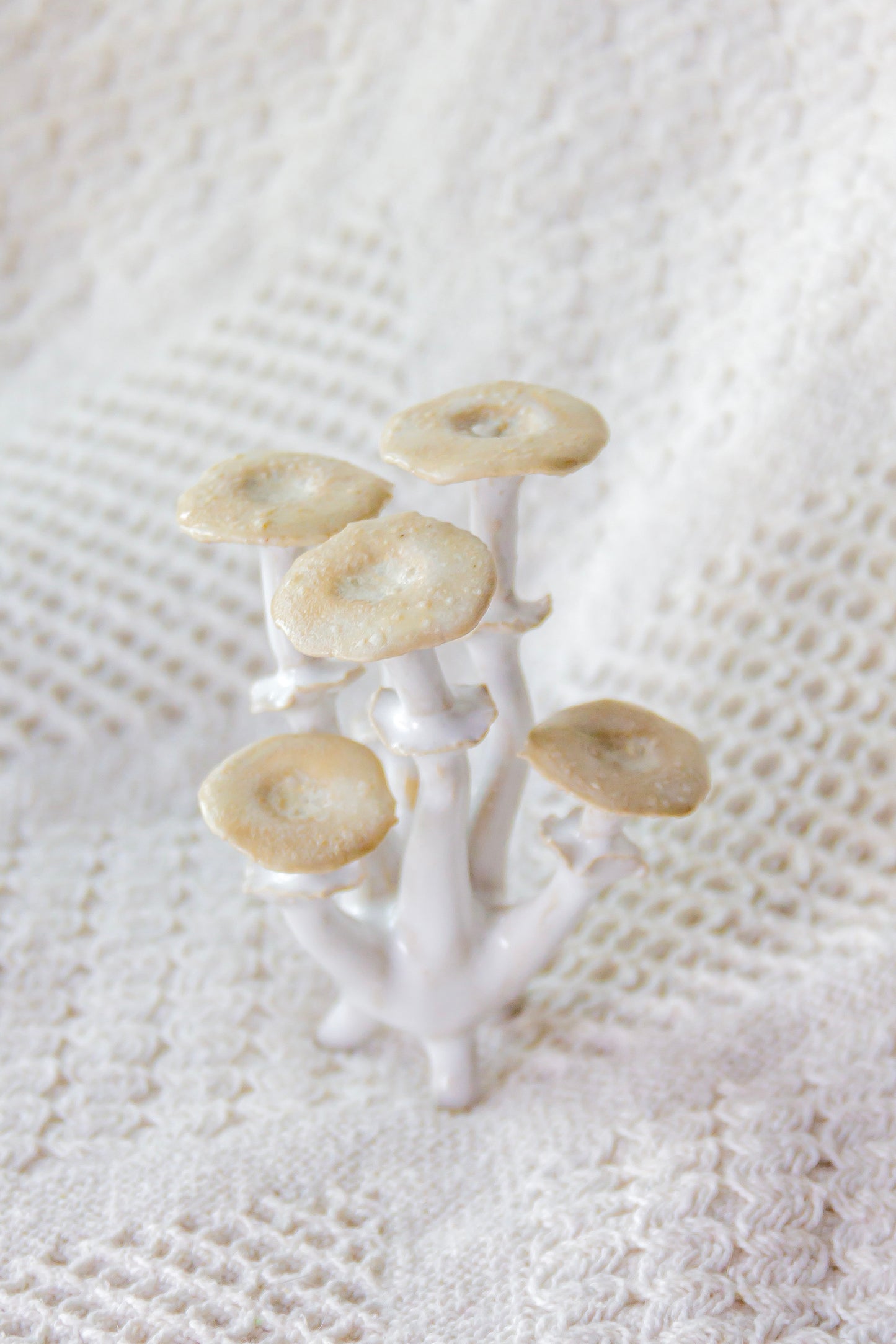 Champignon en céramique noir et rouge