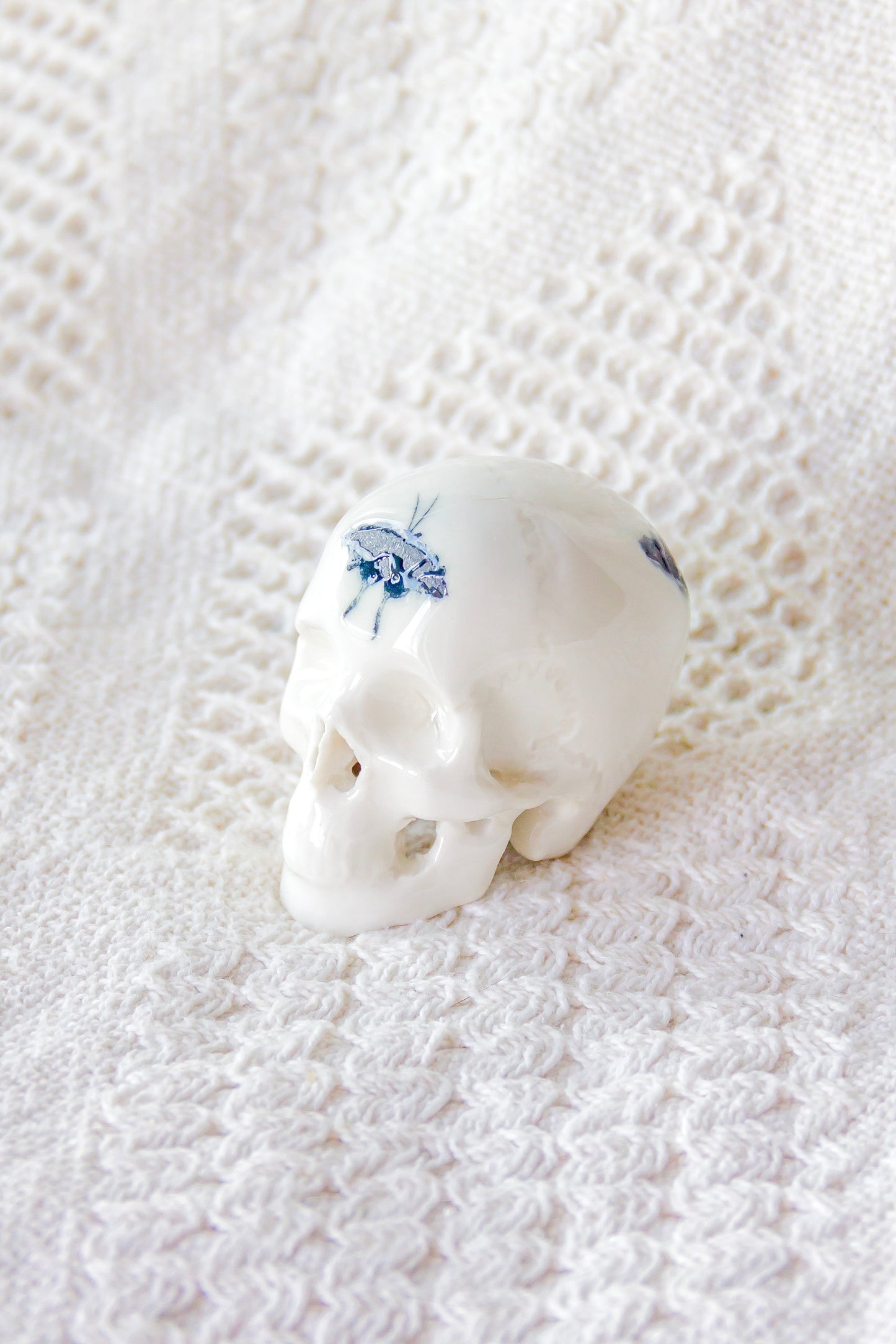 Czaszka porcelanowa mini