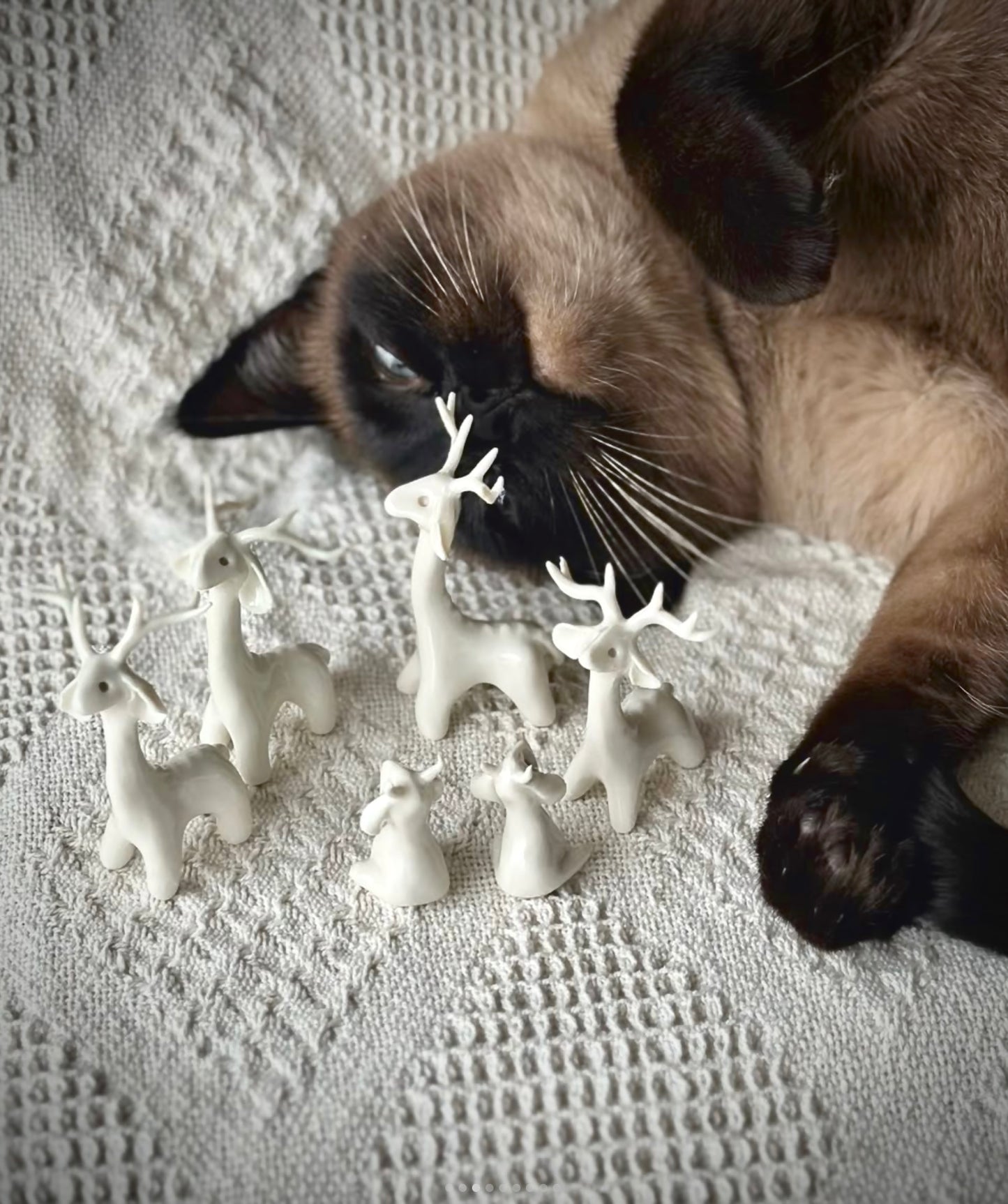 Werlingi świąteczne