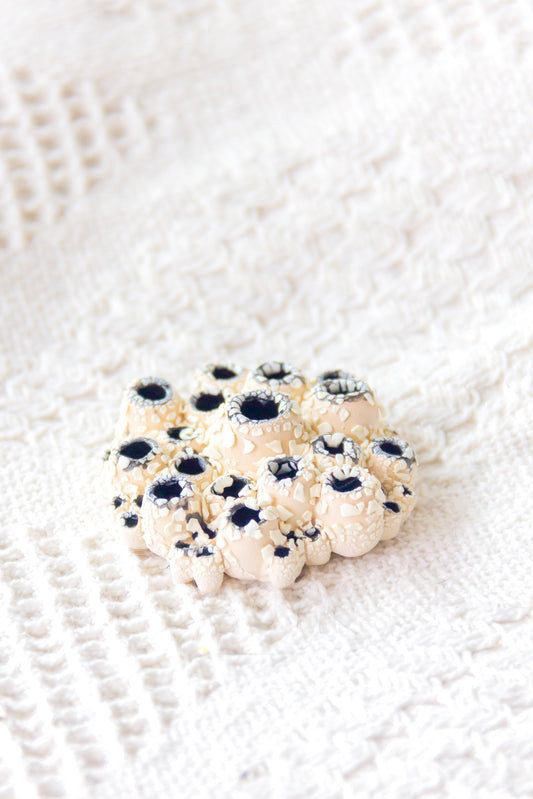 Rzeźba ceramiczna “Ascydia” beżowo-czarna