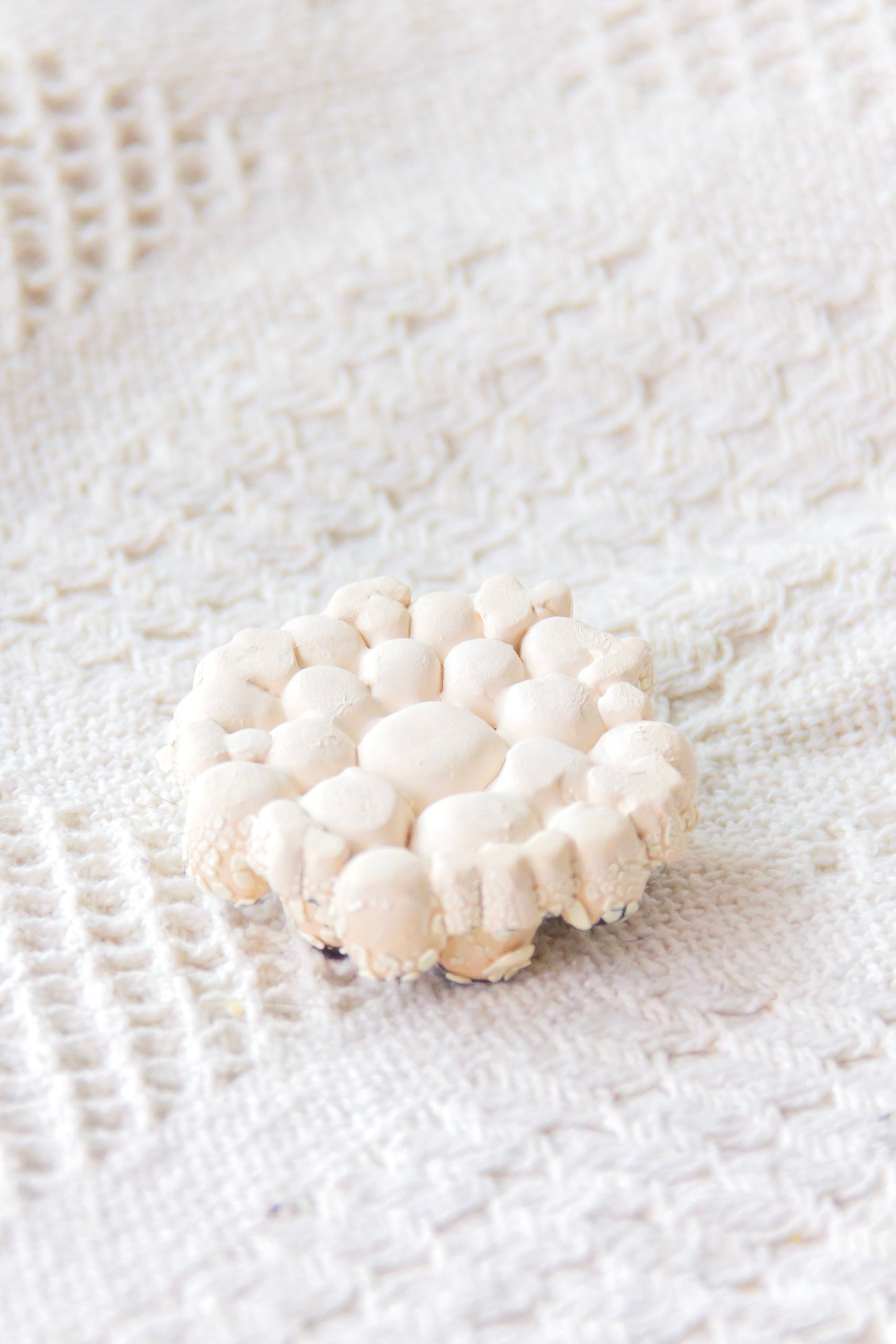 Sculpture en porcelaine "Ascidiacée"