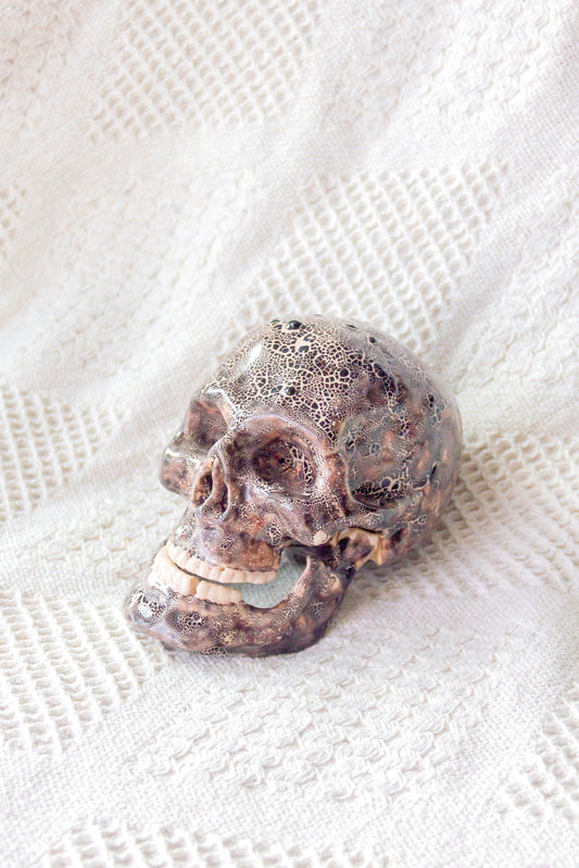 Czaszka ceramiczna brązowo-czarna z ruchomą żuchwą