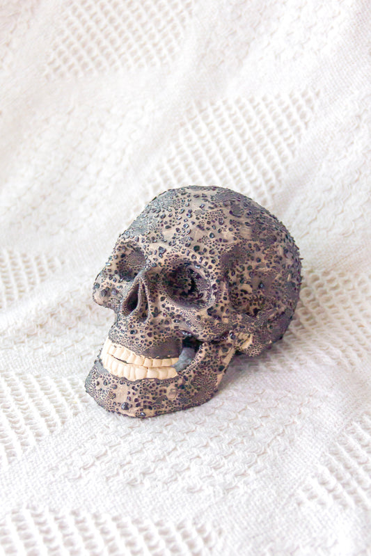 Czaszka ceramiczna brązowo-czarna z ruchomą żuchwą