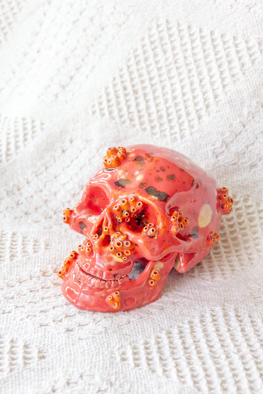 Czaszka ceramiczna malinowo-pomarańczowa z ruchomą żuchwą