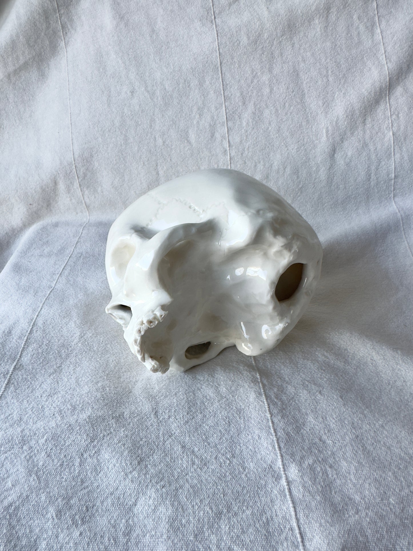 Czaszka porcelanowa średnia