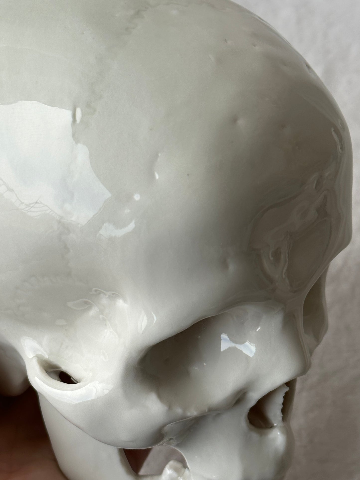 Czaszka porcelanowa średnia