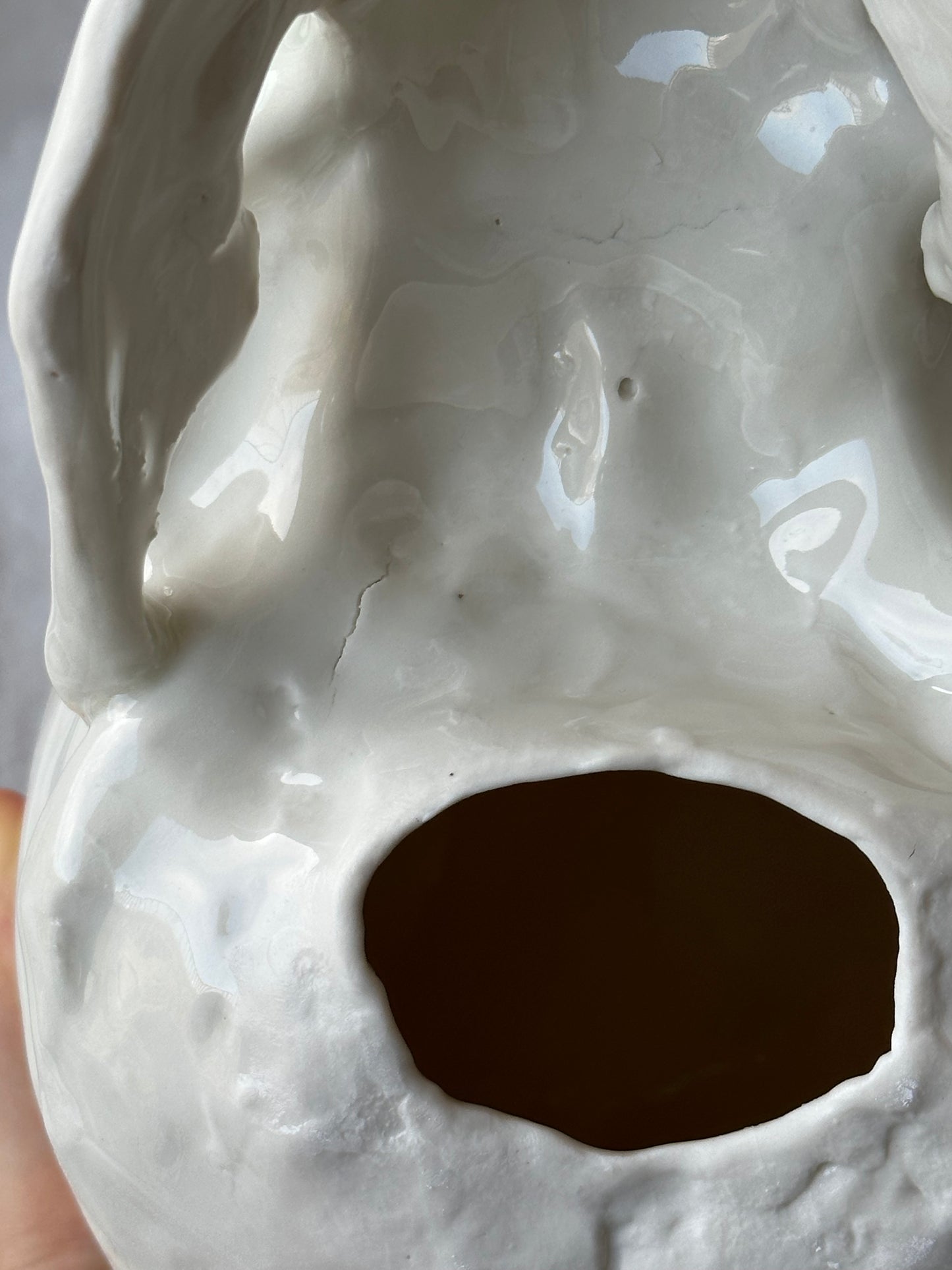 Czaszka porcelanowa duża z żuchwą