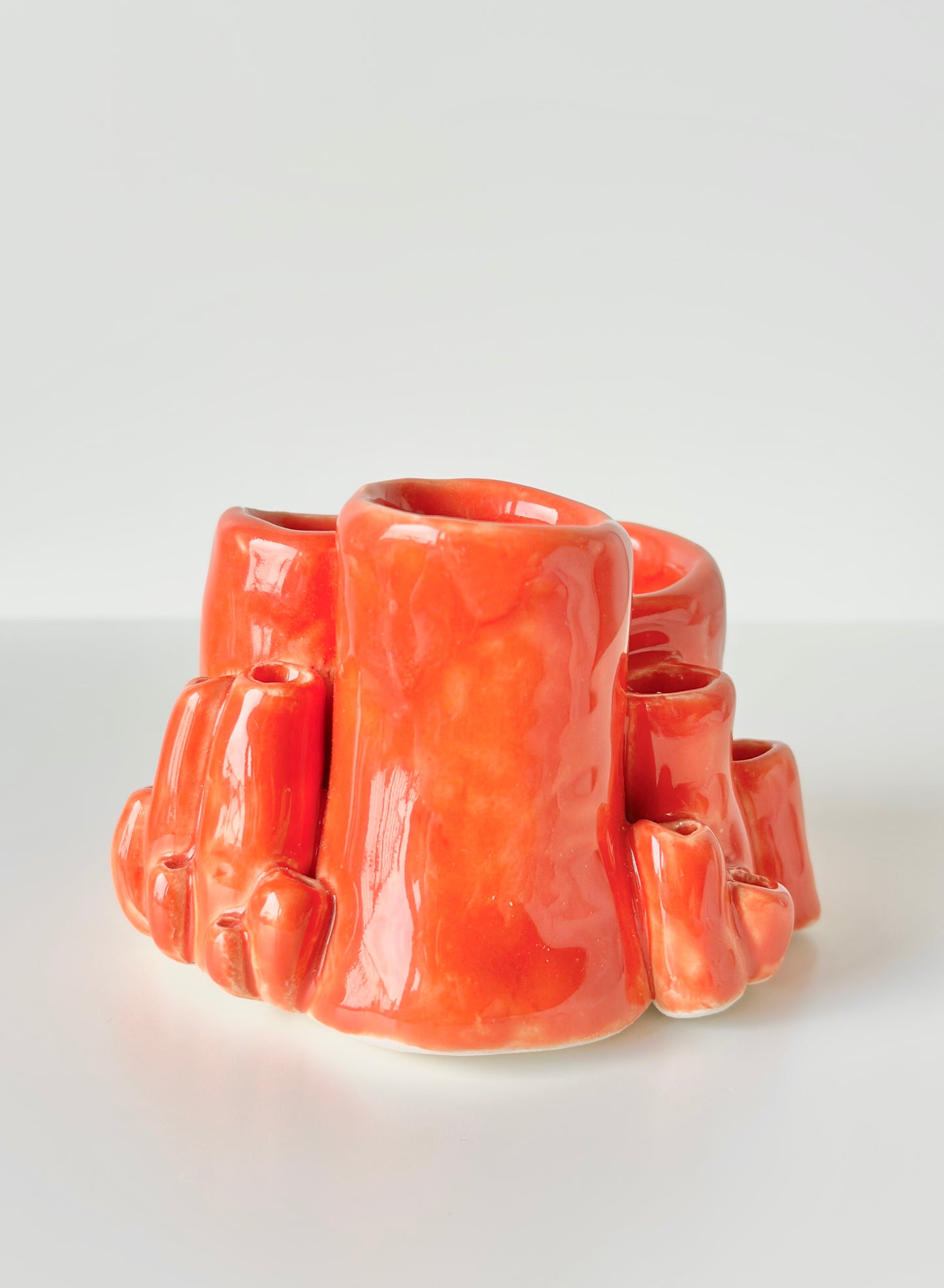 Corail décoratif