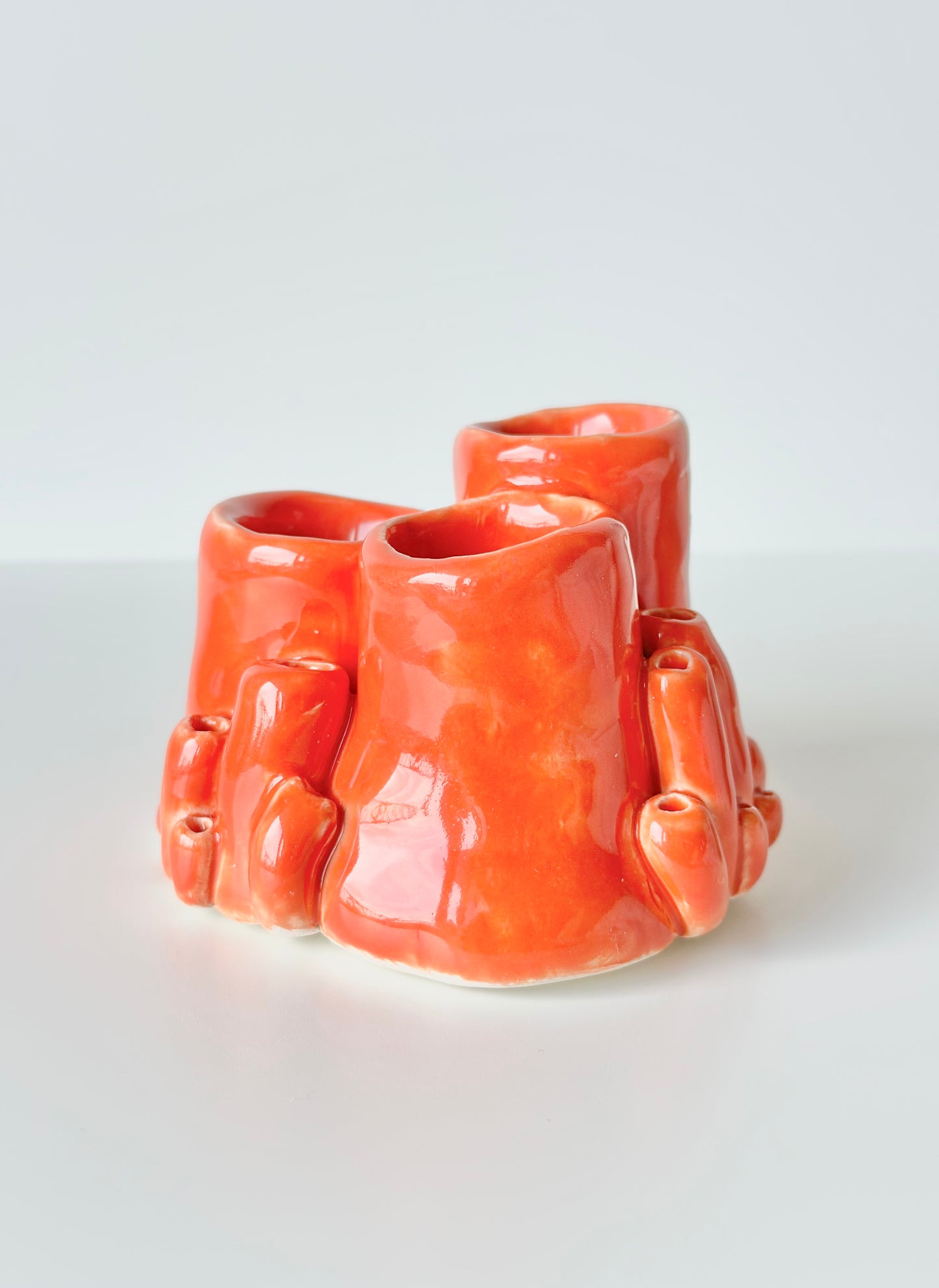 Corail décoratif