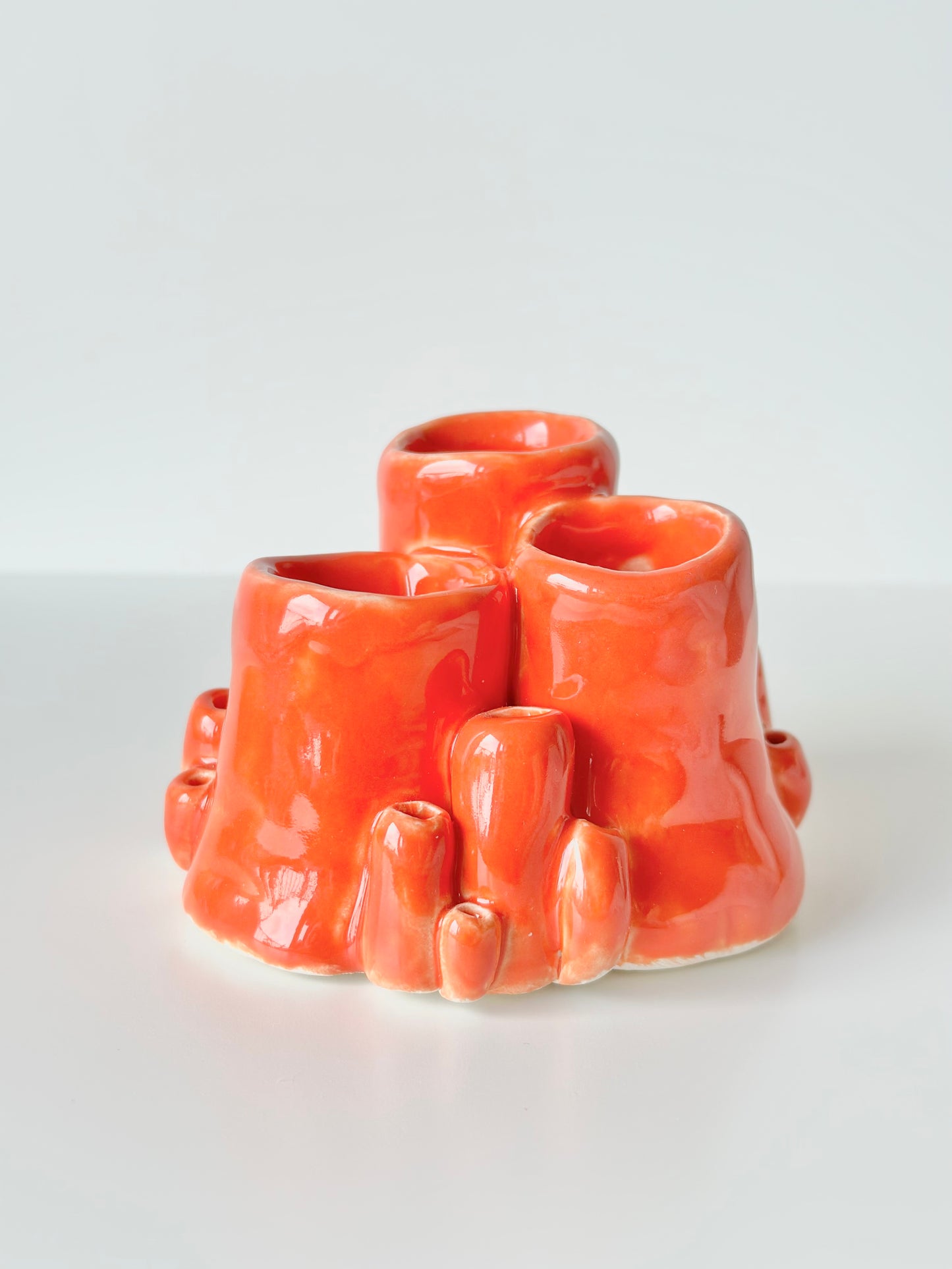 Corail décoratif