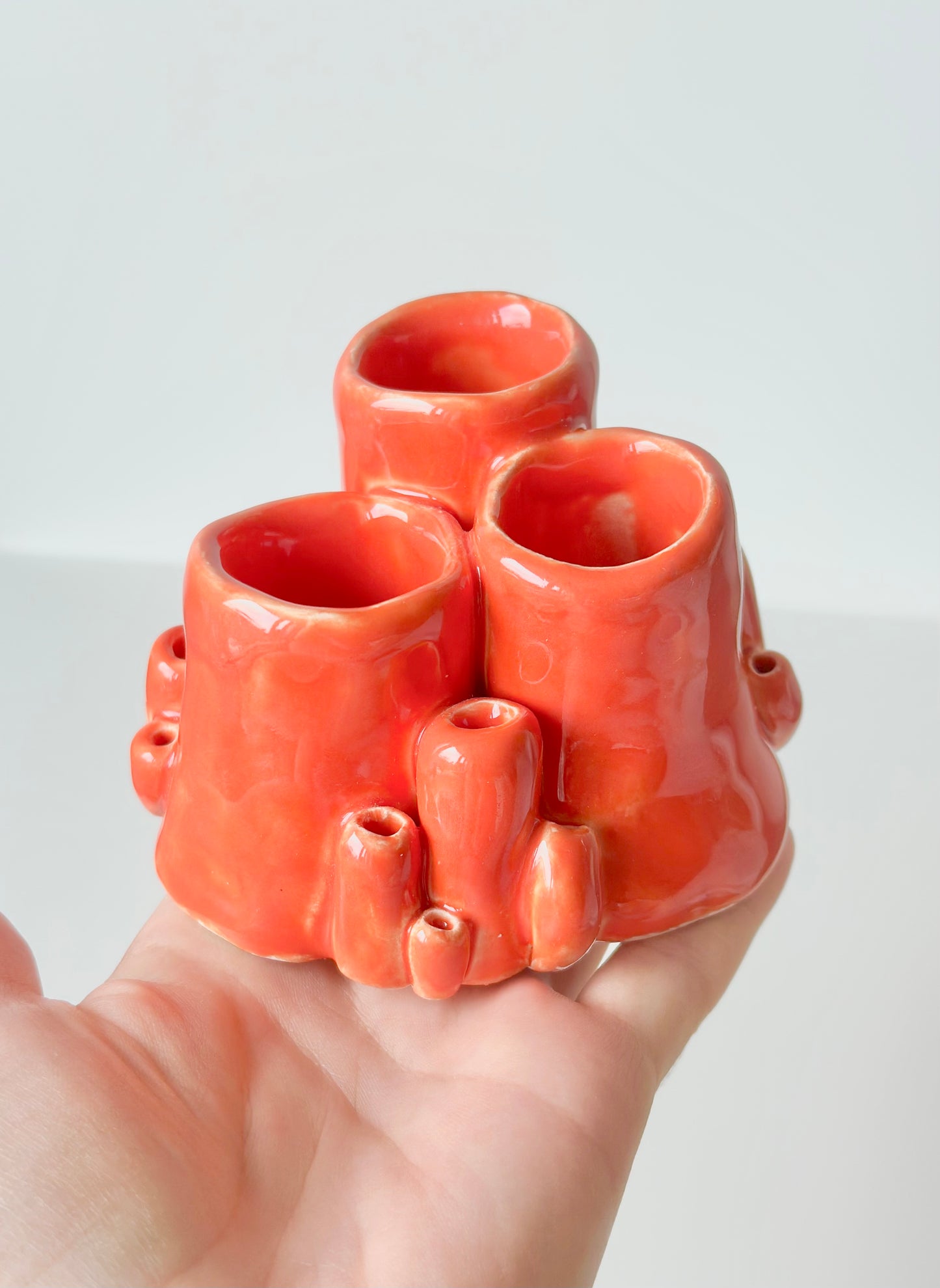 Corail décoratif
