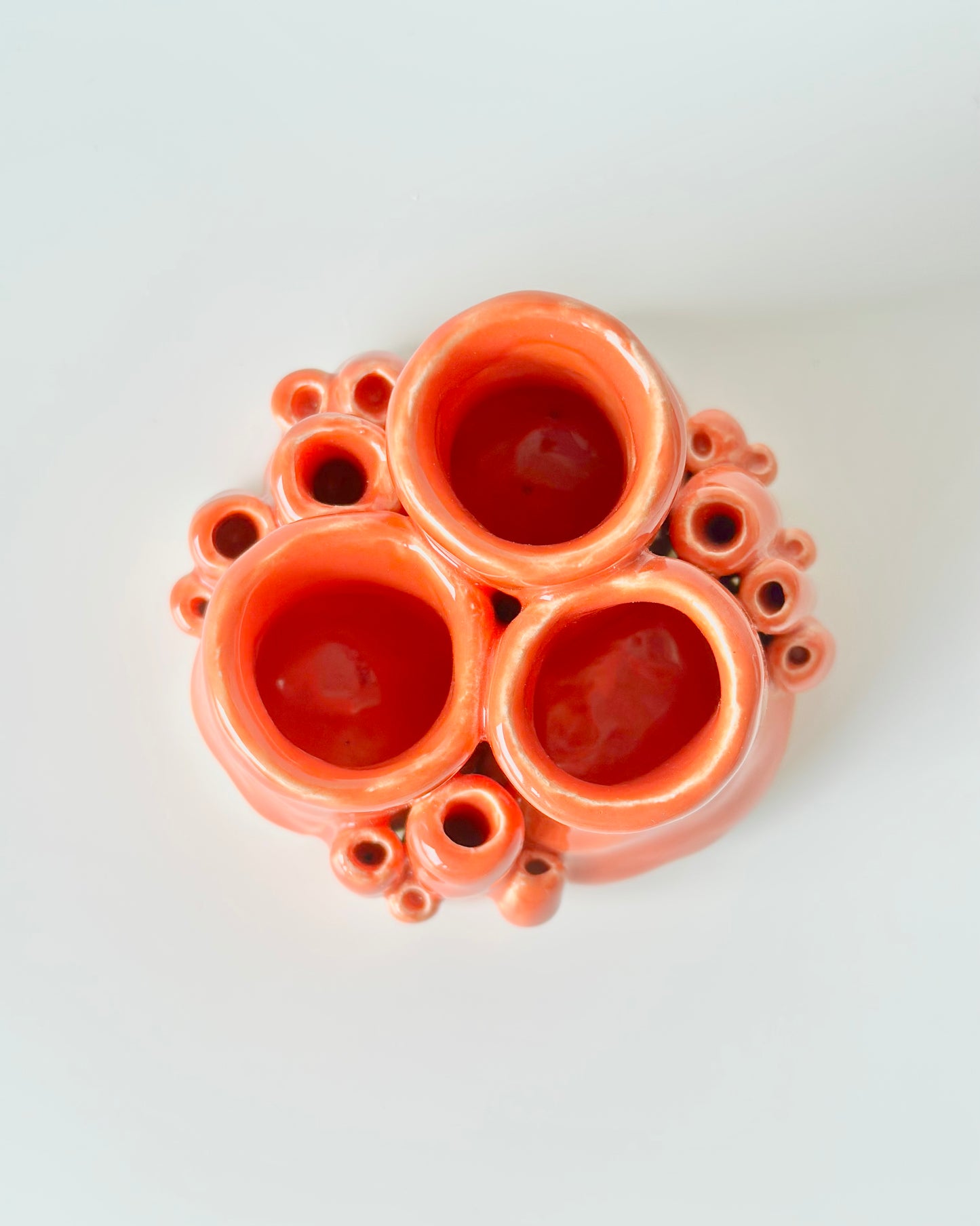 Corail décoratif