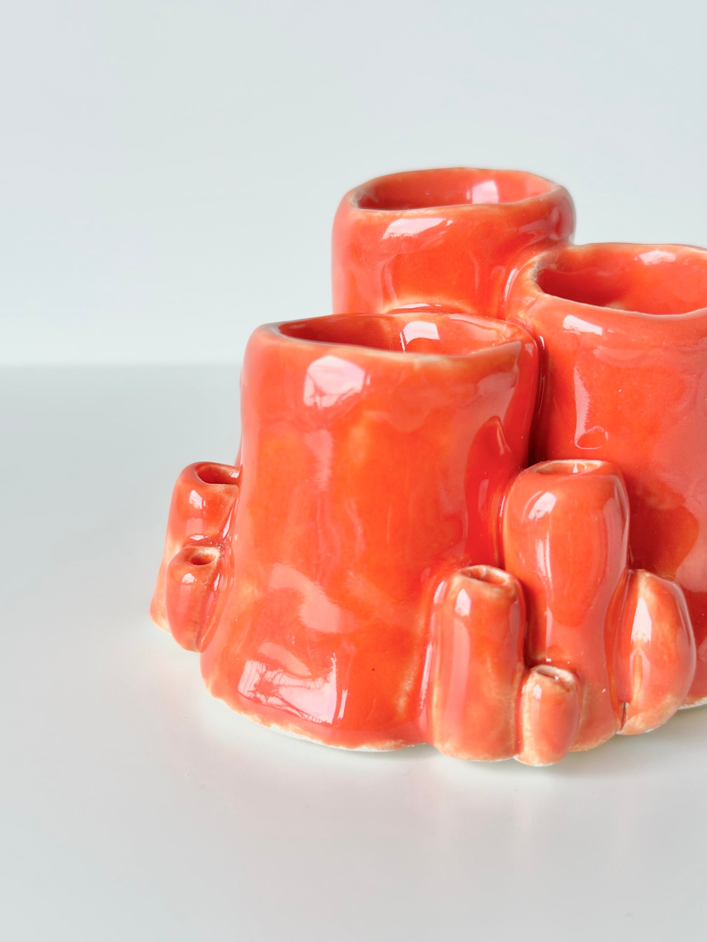 Corail décoratif