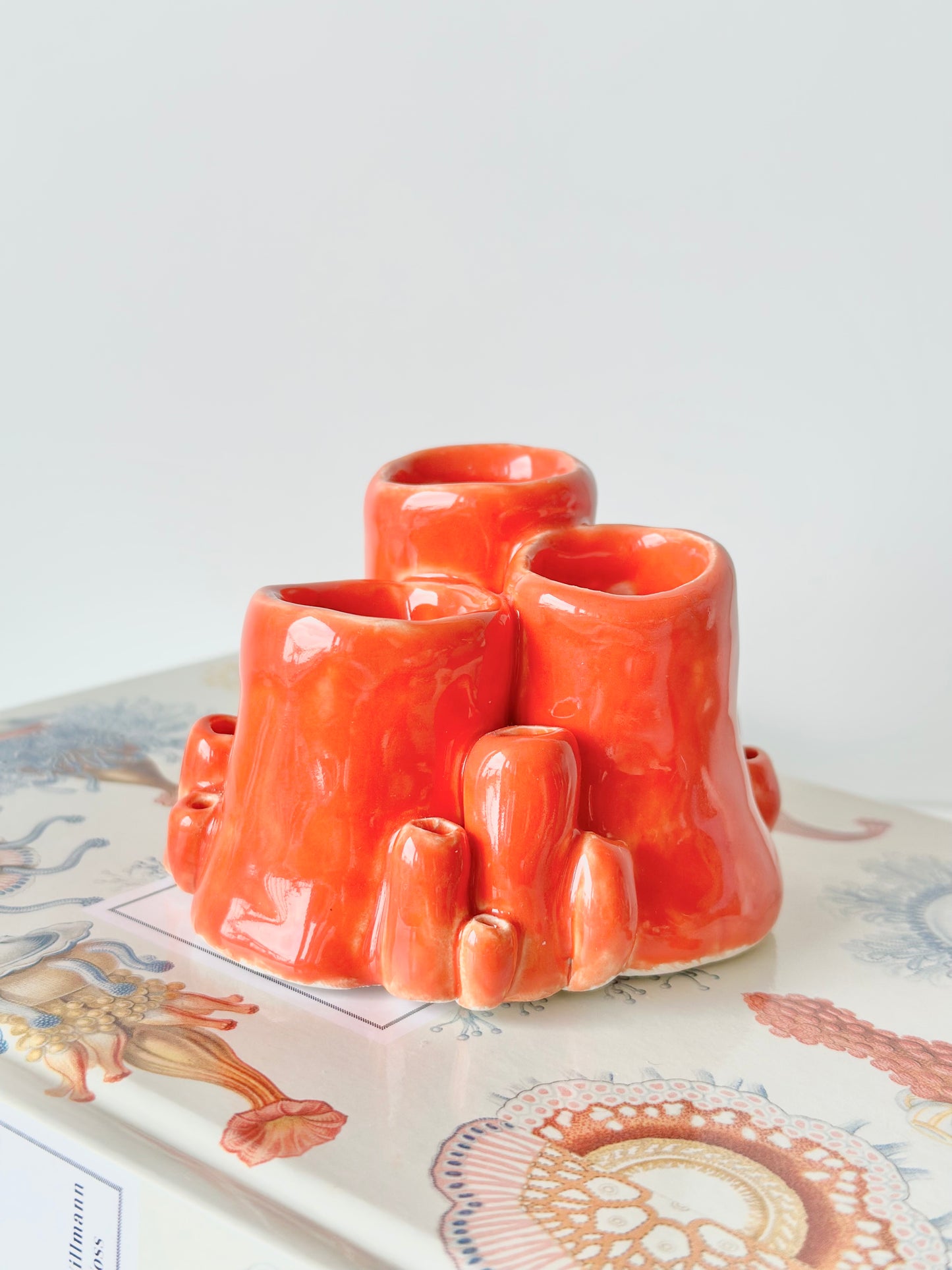 Corail décoratif