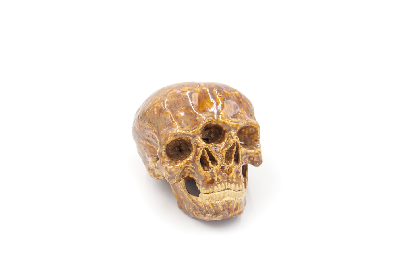 Czaszka ceramiczna podwójna otwieraną żuchwą