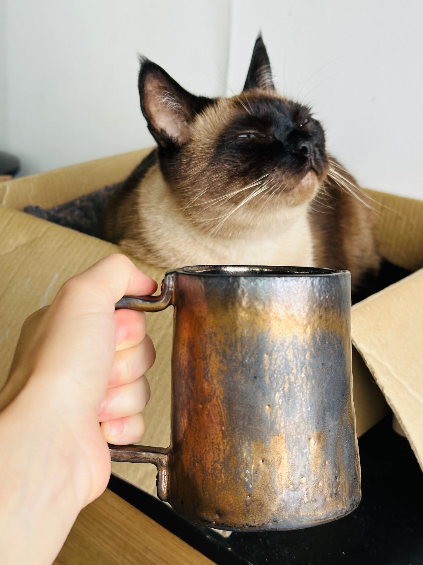 Mug en céramique « Champignons » marron et beige