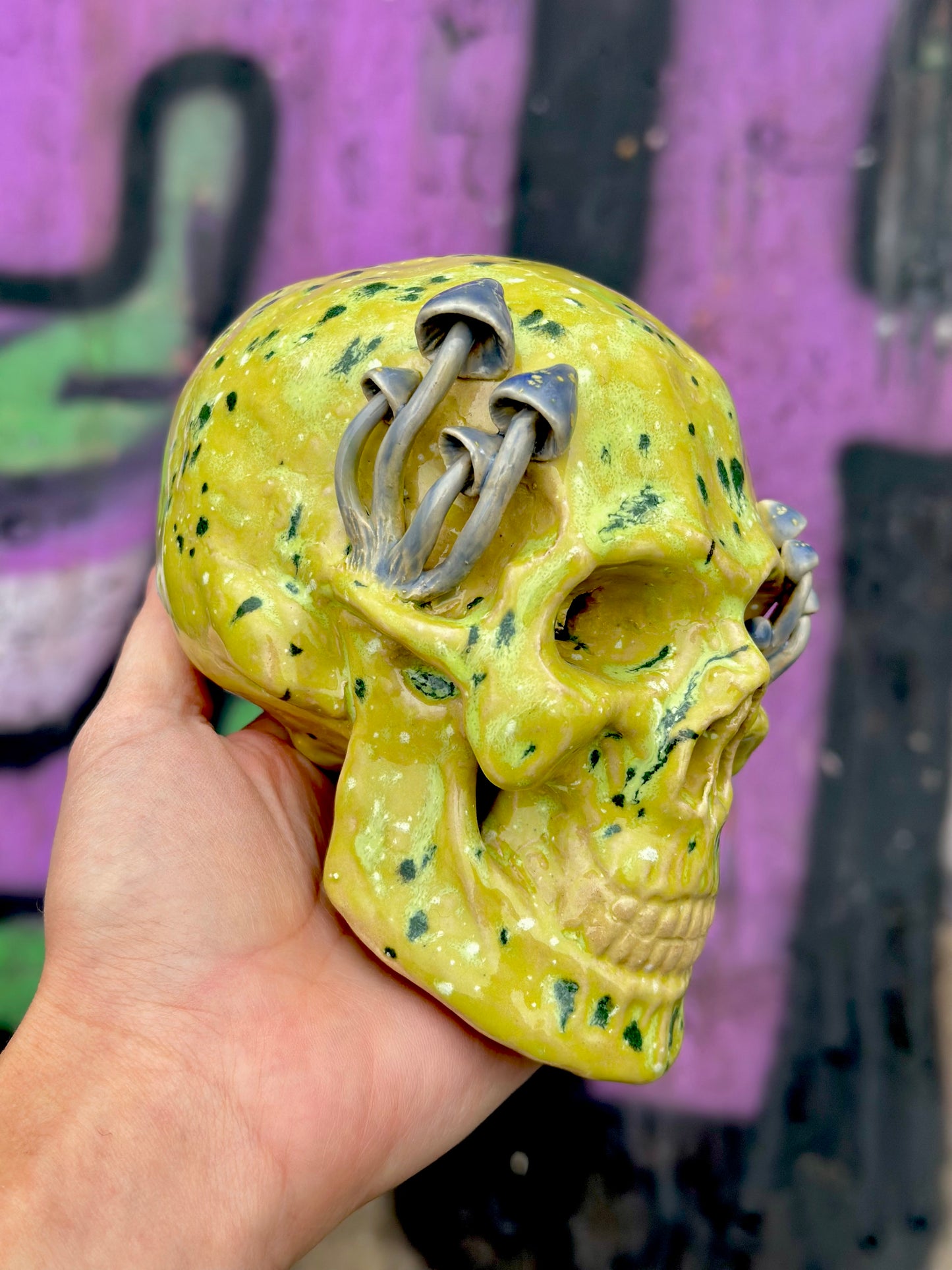 Czaszka ceramiczna z grzybami