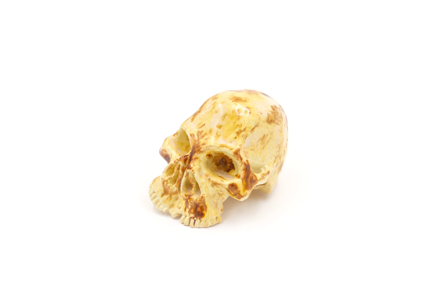 Czaszka ceramiczna zmutowana