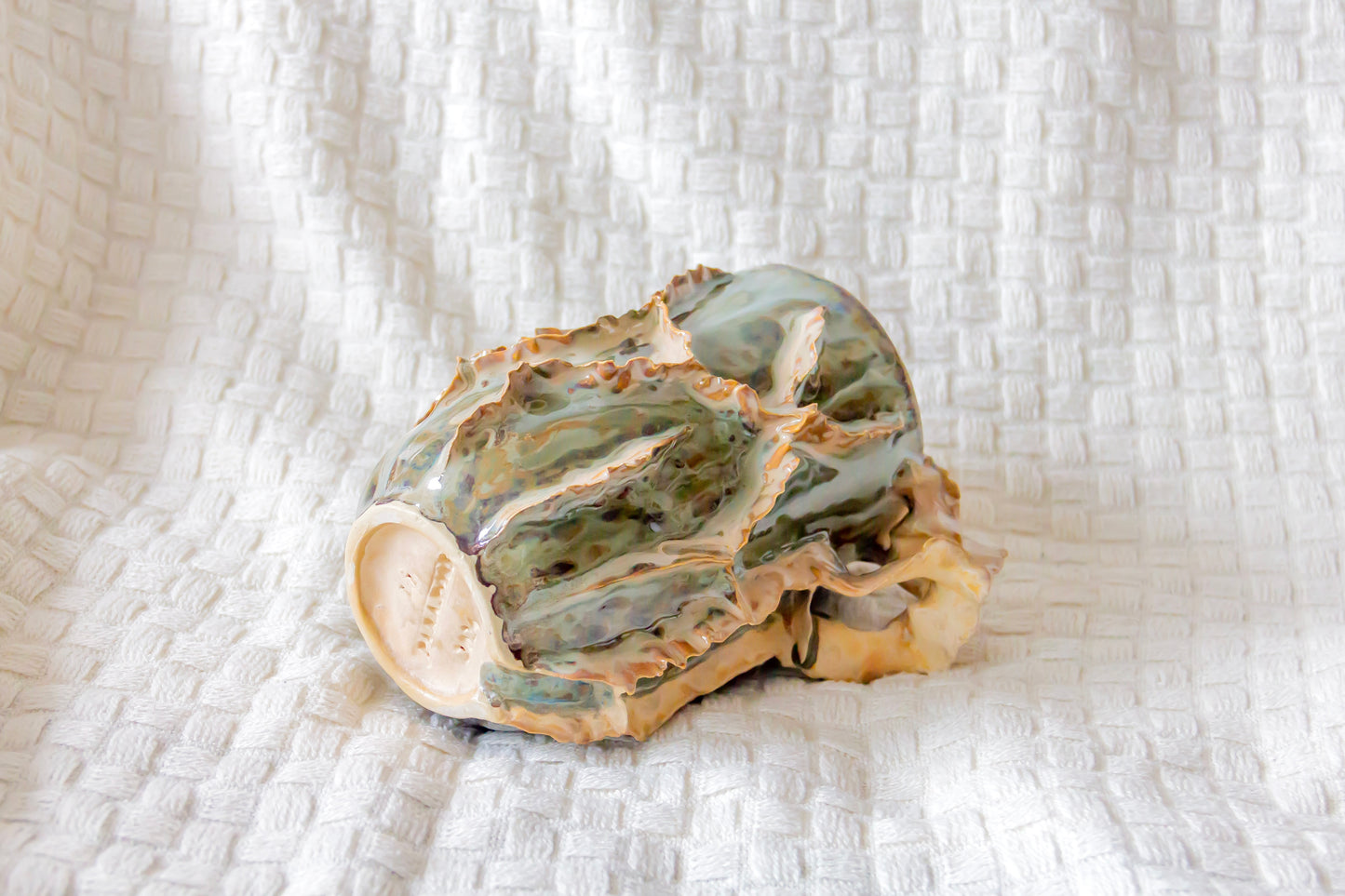 Kubek ceramiczny “Laminari” w kolorze zielono-piaskowym