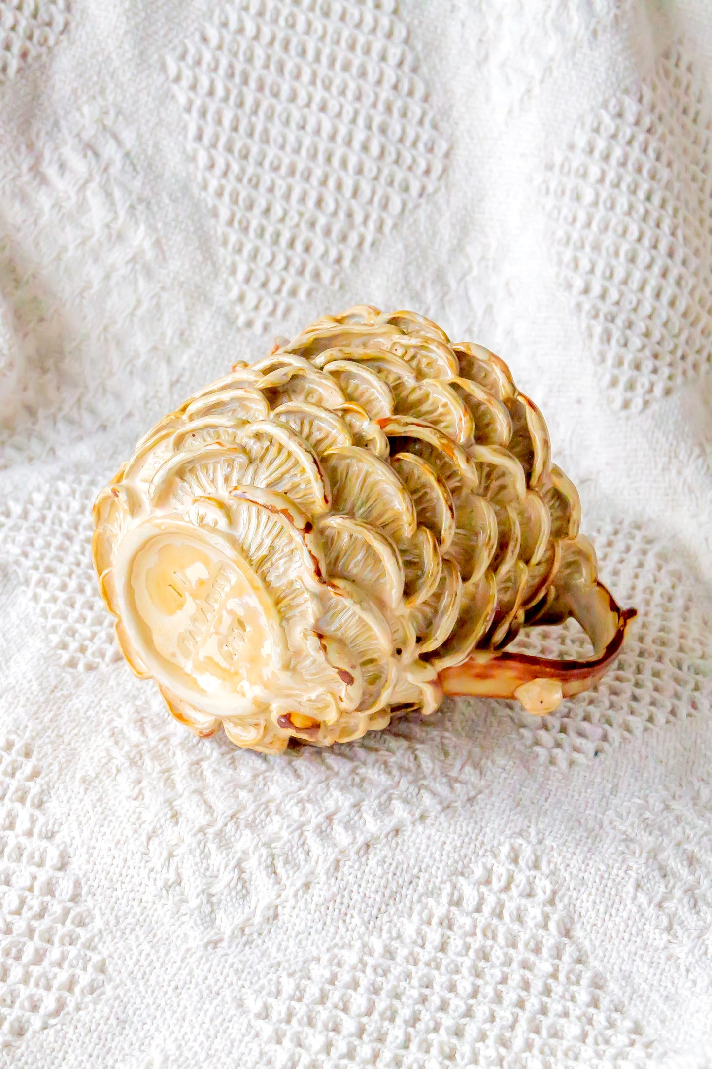 Kubek ceramiczny “Shrooms” brązowo-beżowy