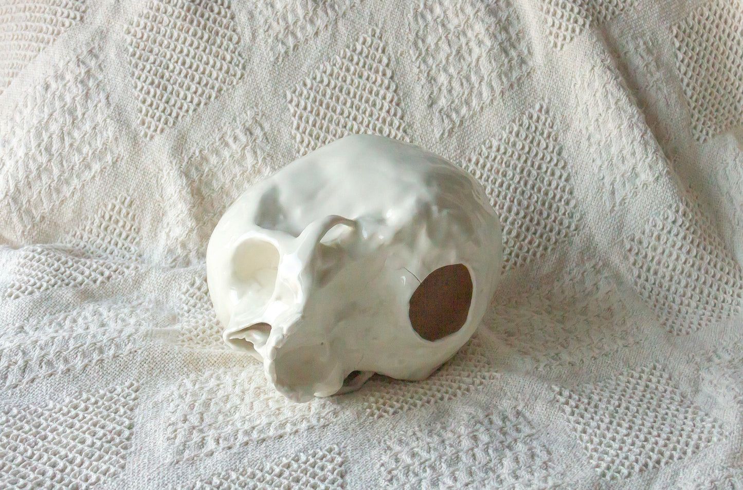 Czaszka porcelanowa duża bez żuchwy