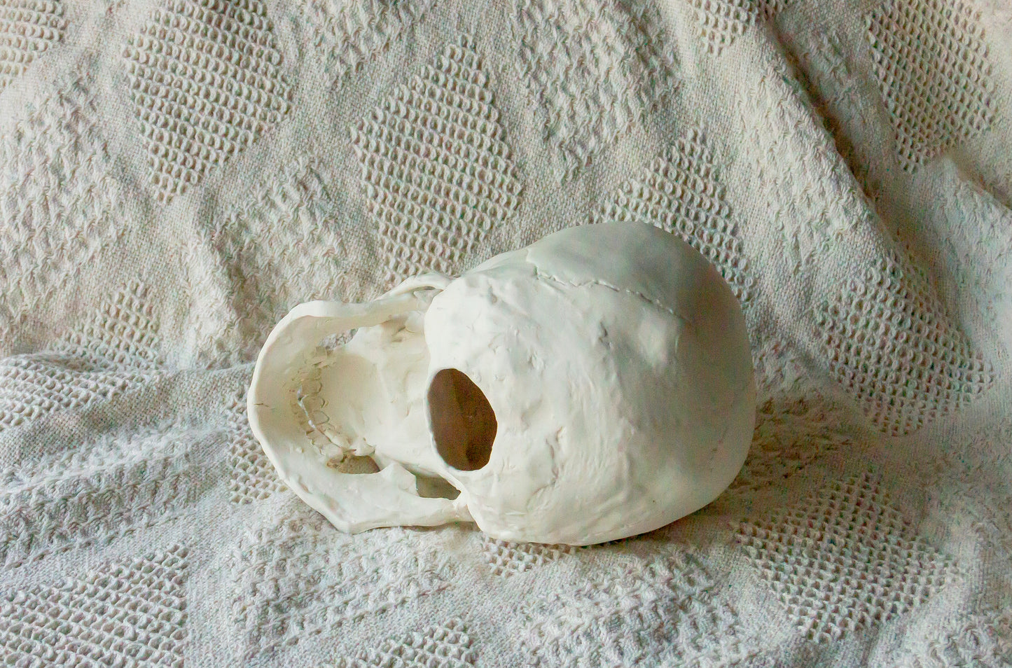 Czaszka porcelanowa duża z żuchwą