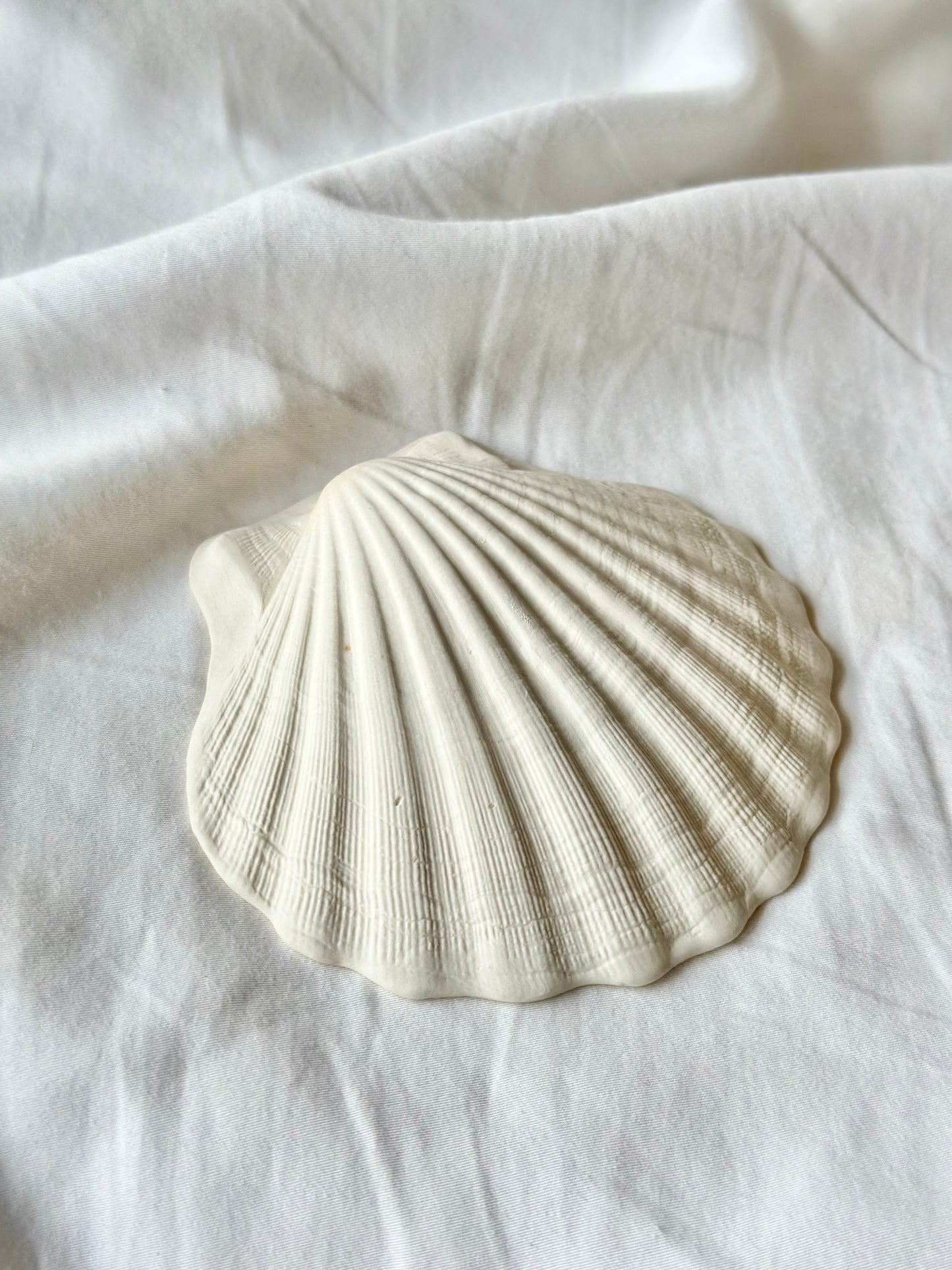 Muszla porcelanowa podstawka na biżuterię