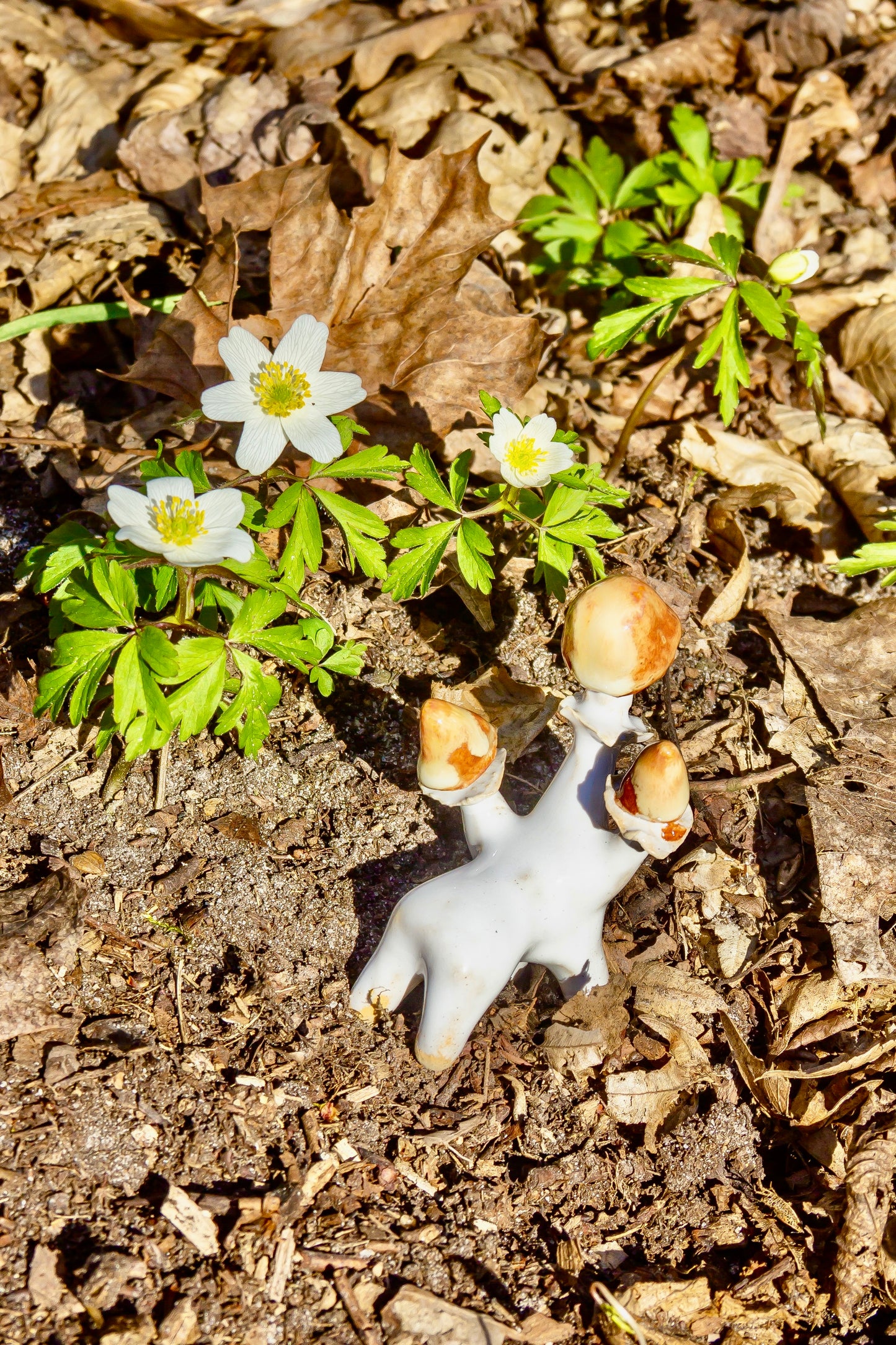 Grzybki ceramiczne biało-brązowe mini