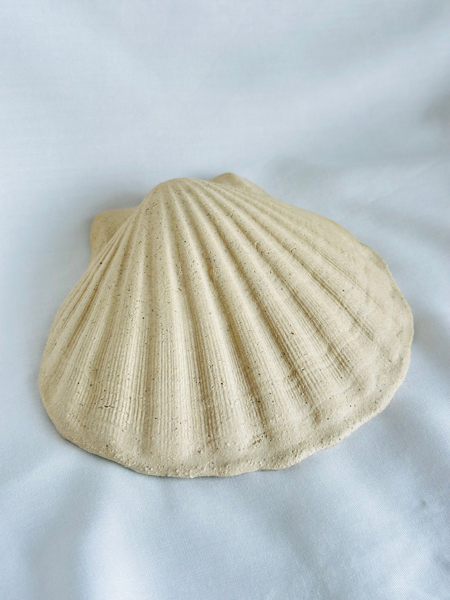 Muszla ceramiczna podstawka na biżuterię
