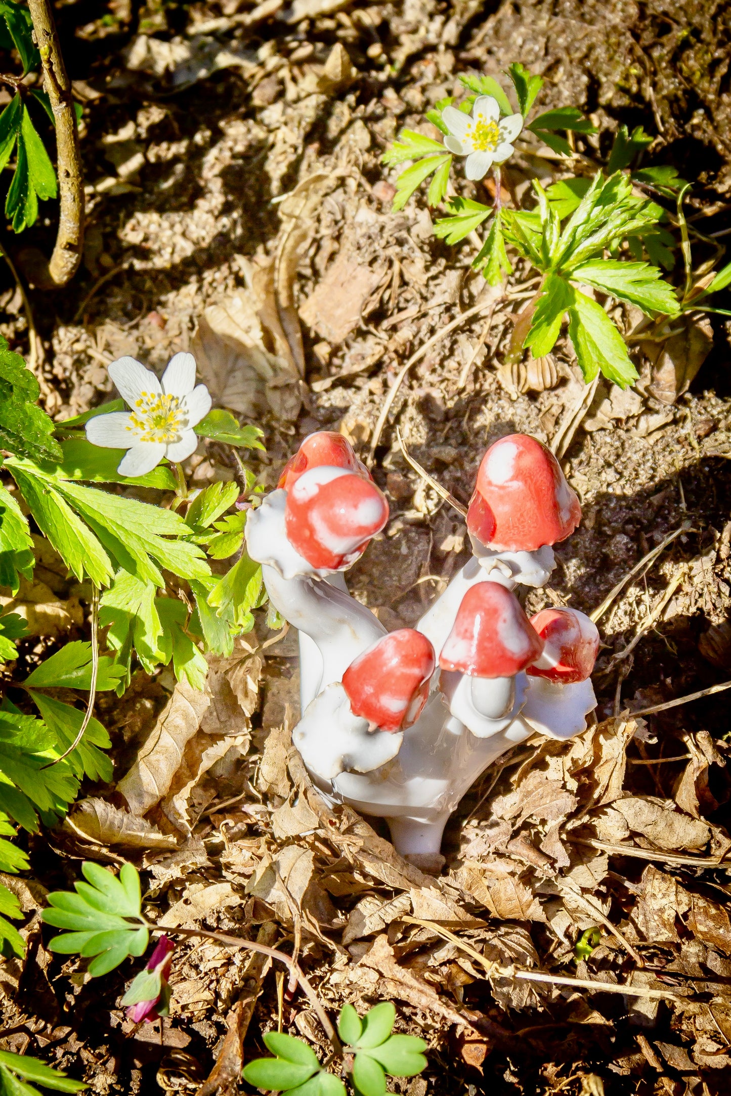 Grzybki ceramiczne biało-czerwone mini