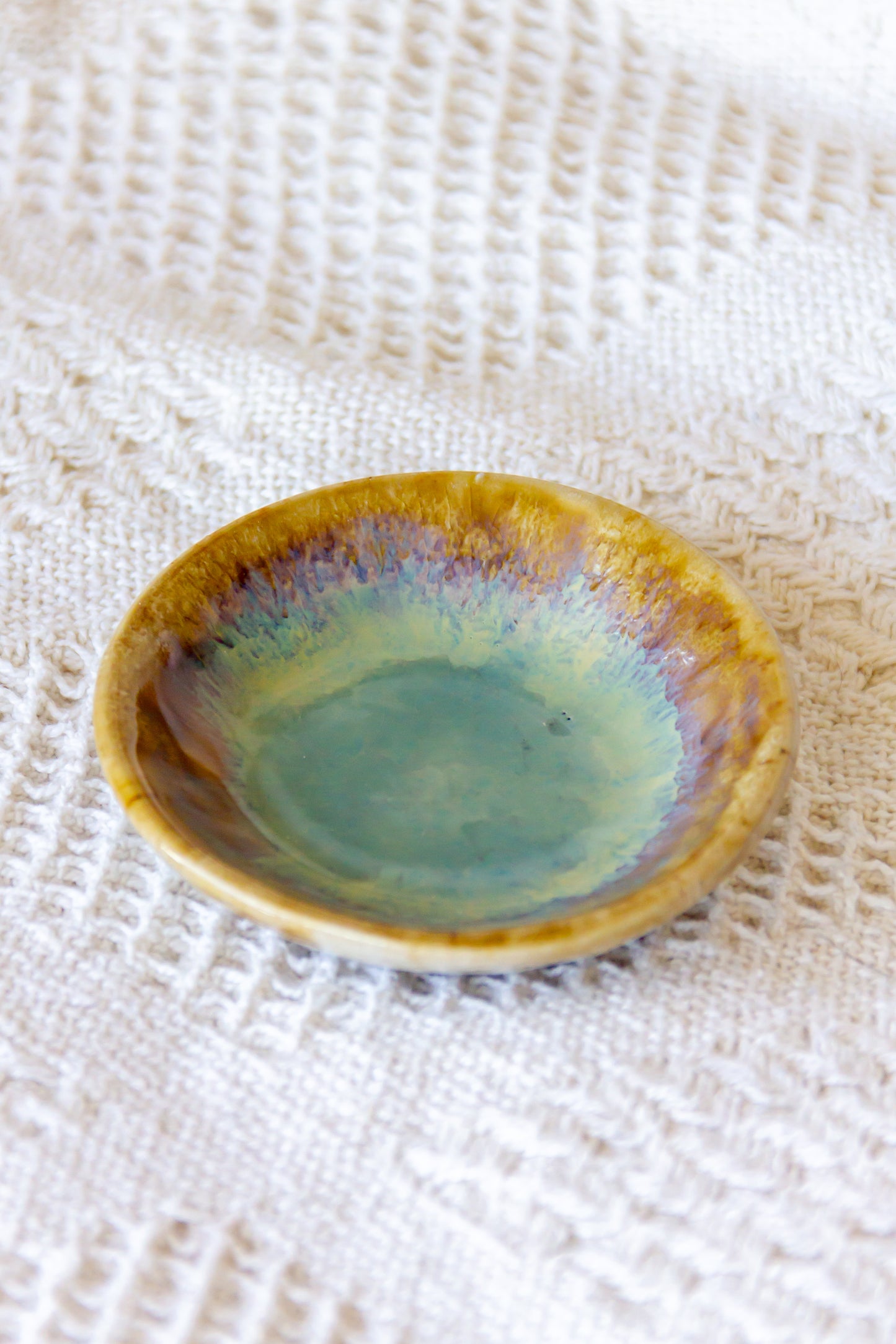 Mini assiettes multicolores