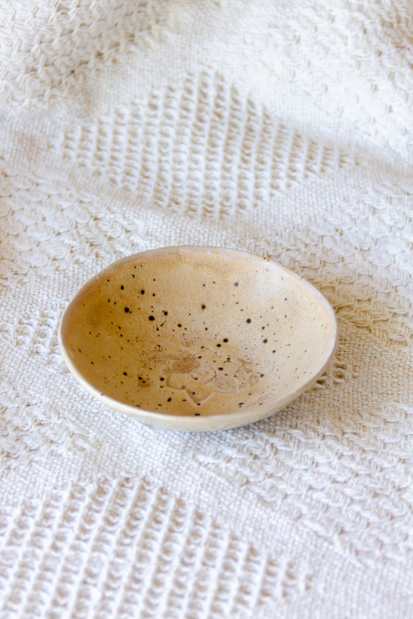 Mini assiettes multicolores