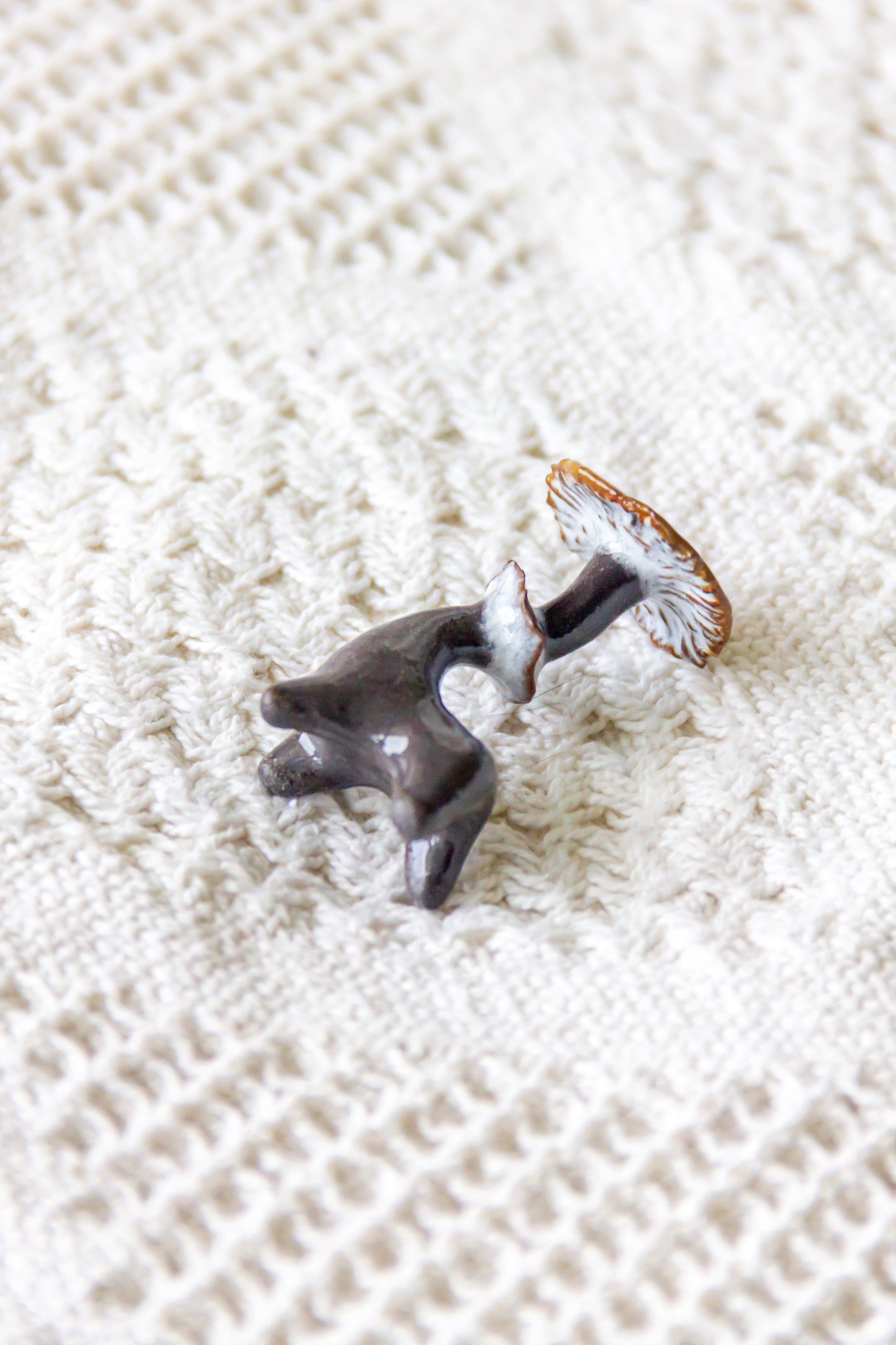 Grzybek ceramiczny czarno-brązowy