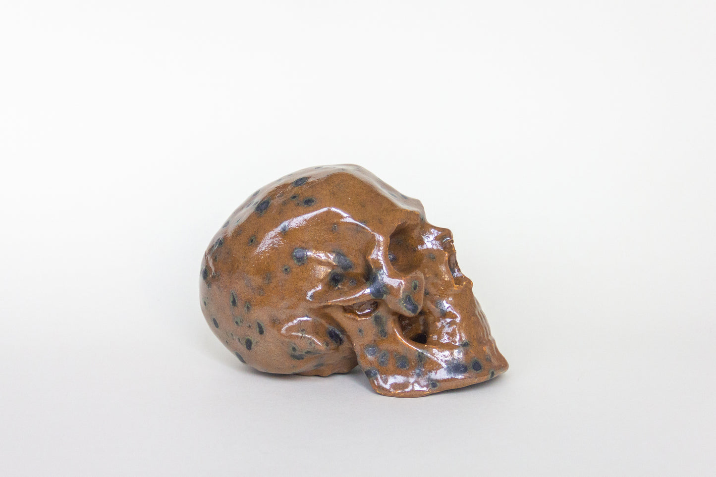 Czaszka ceramiczna brązowa w plamki