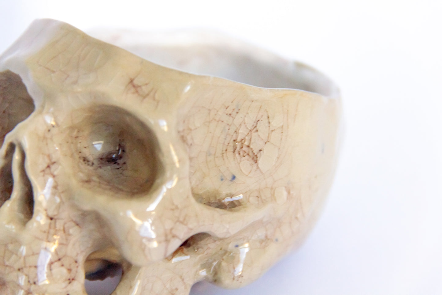 Czaszka-szkatułka w kolorze biało-beżowym oraz efektem krakle