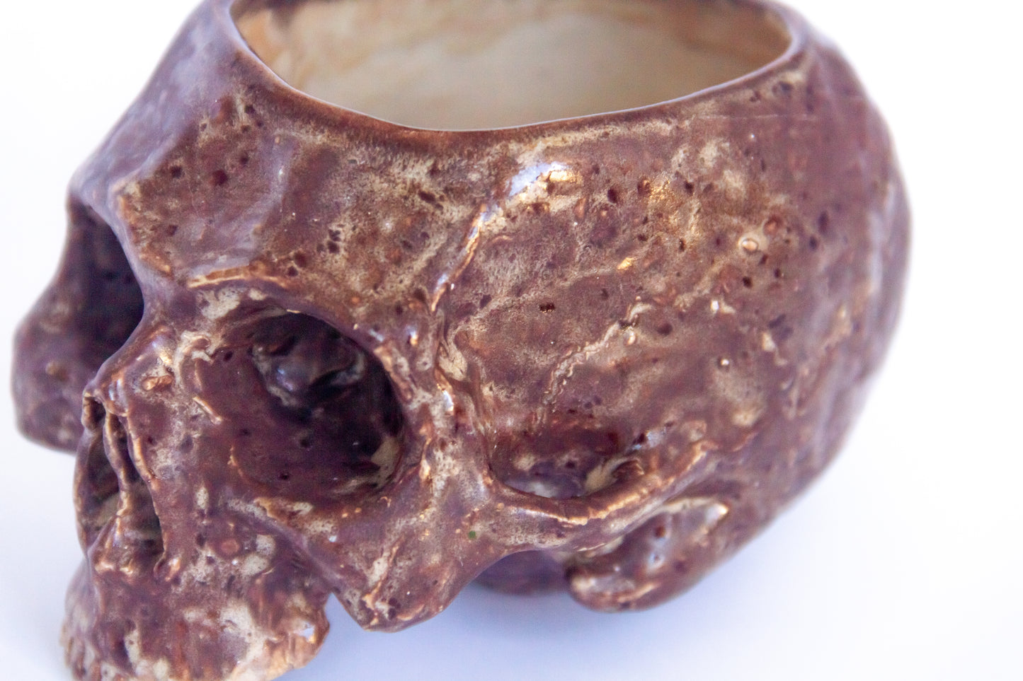 Czaszka-szkatułka w kolorze biało-brązowym