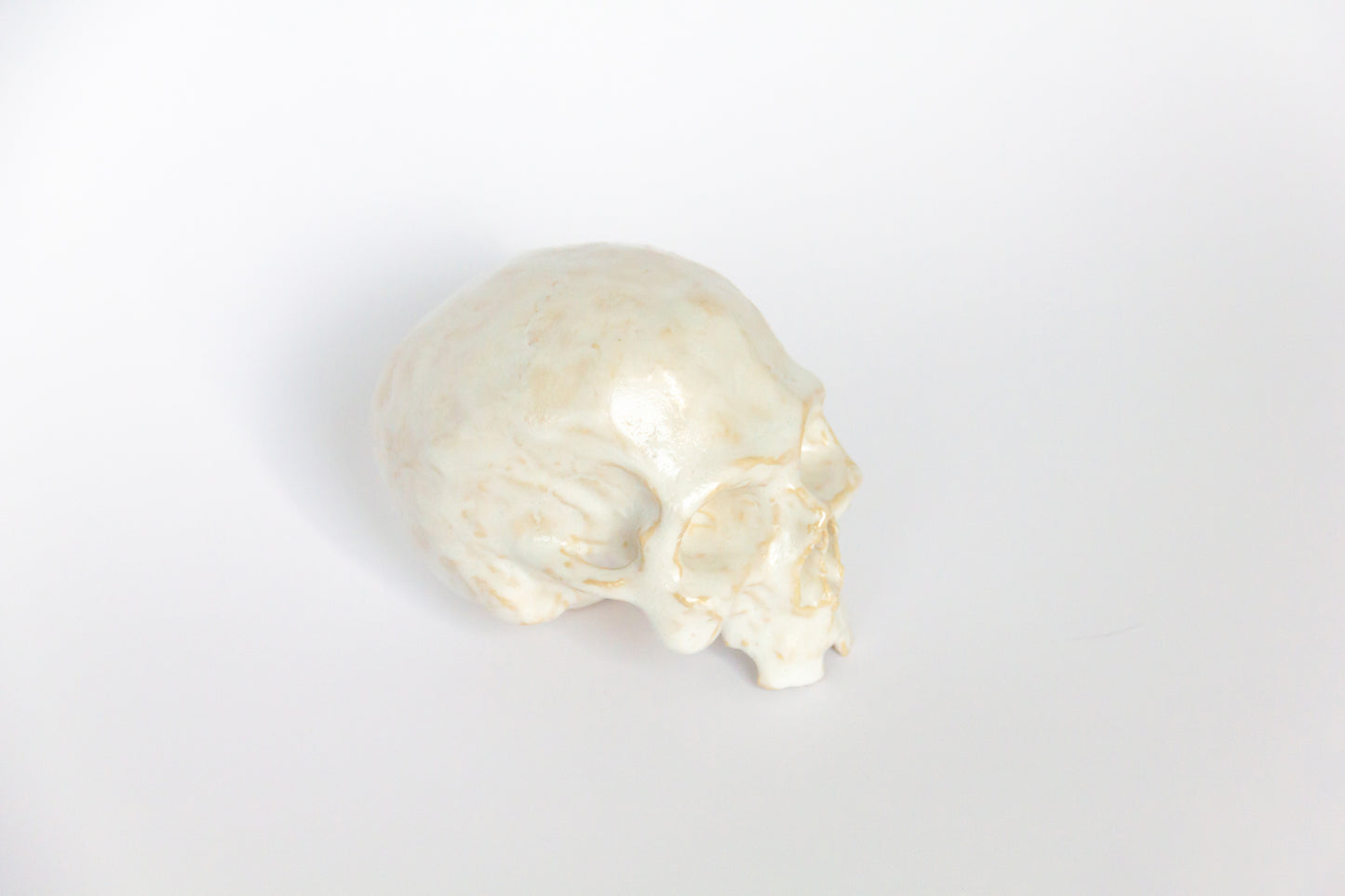 Czaszka ceramiczna w białym kolorze