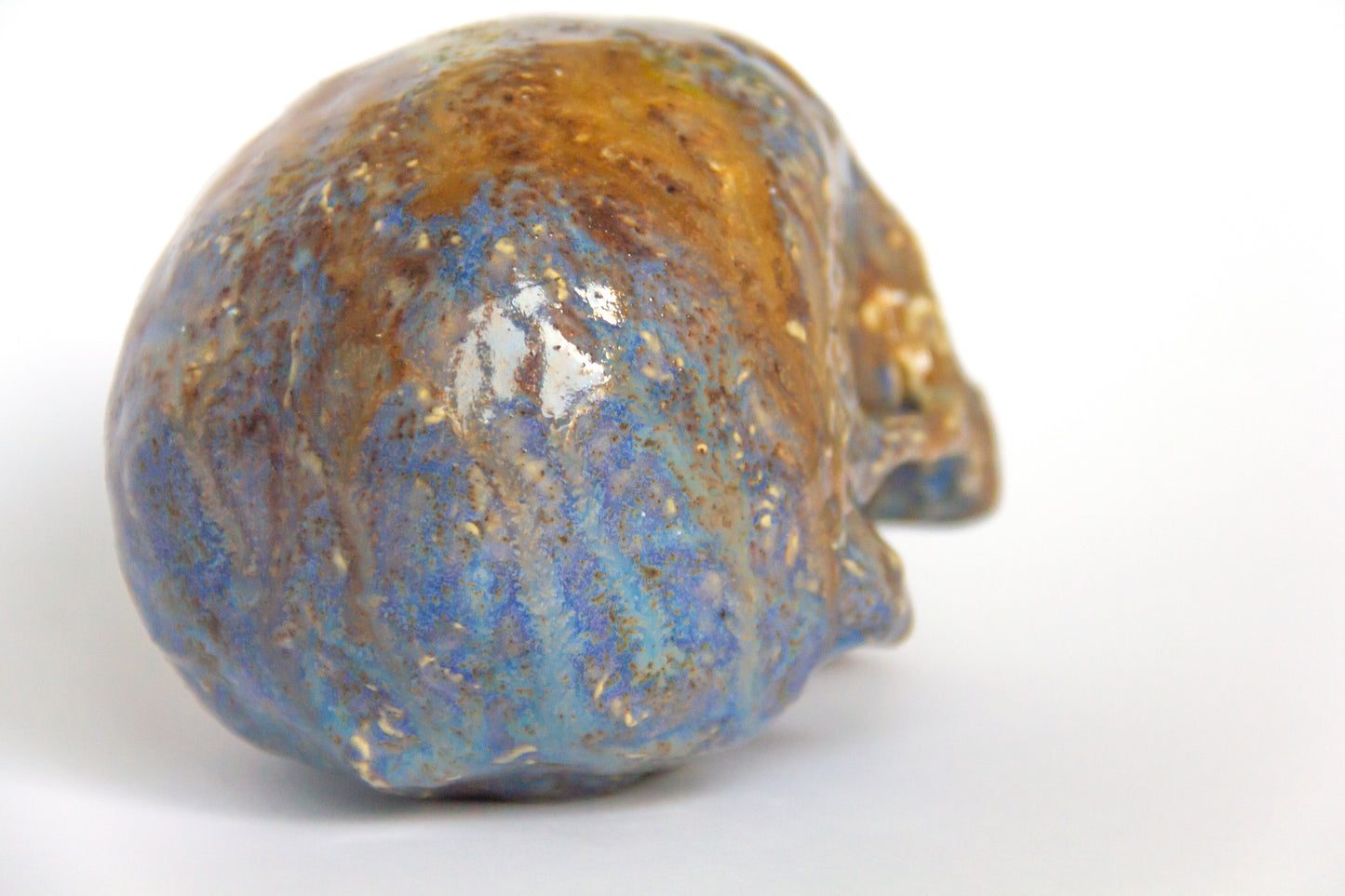 Czaszka ceramiczna w brazowo-niebieskim kolorze