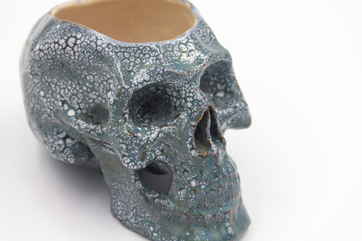 Czaszka-szkatułka w szaro-niebieskim kolorze z plamkami