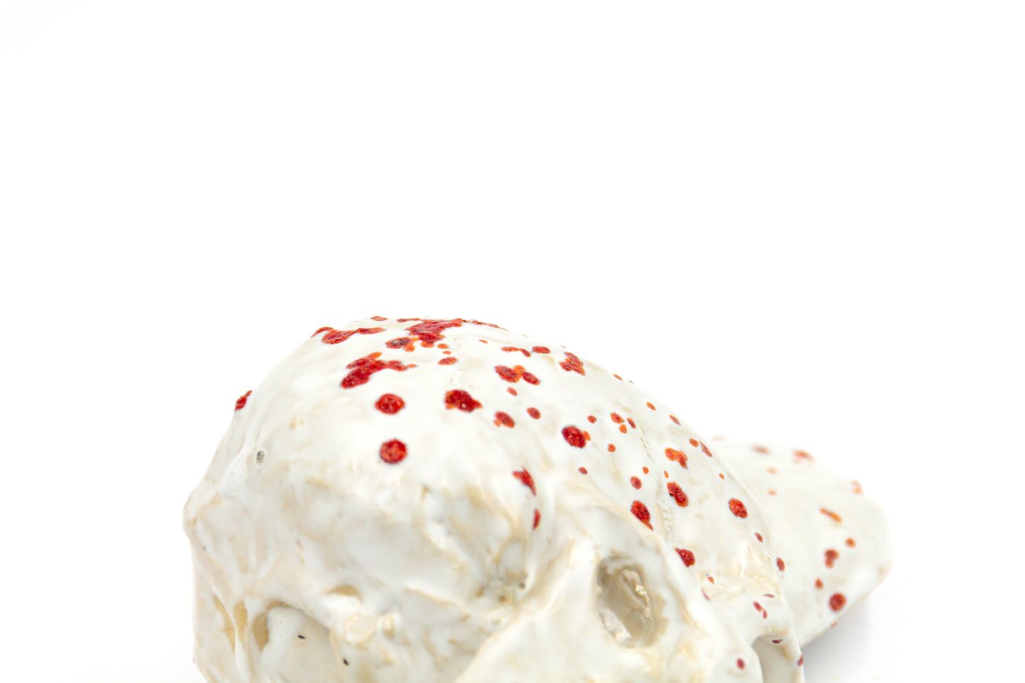 Czaszka-szkatułka w białym kolorze z czerwonymi kropkami