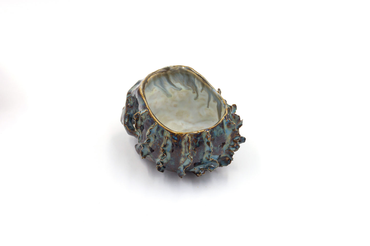 Czaszka-szkatułka w biało-niebieskim kolorze