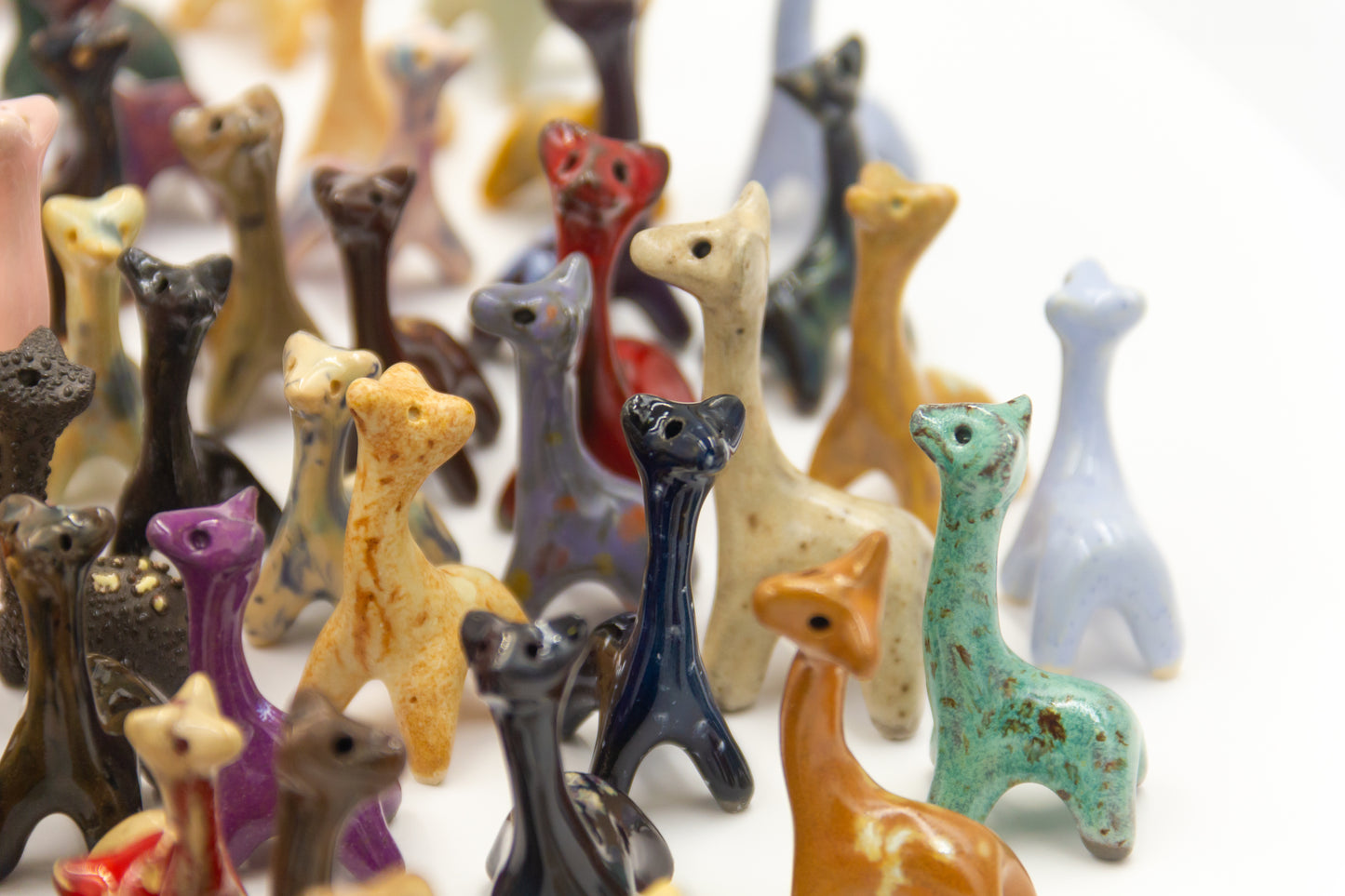 Losowe zwierzę małe "Werlingtin zwyczajny"