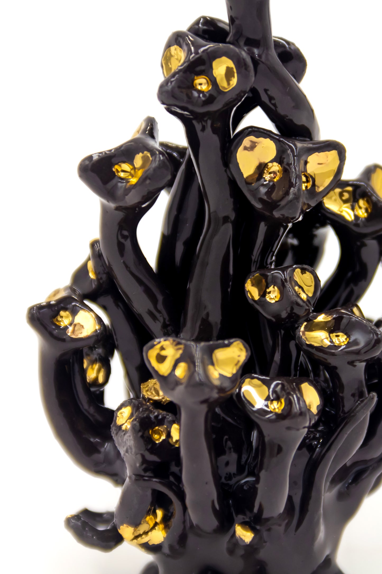 Werling pierworodny porcelanowy w kolorze czarnym ze złoceniem